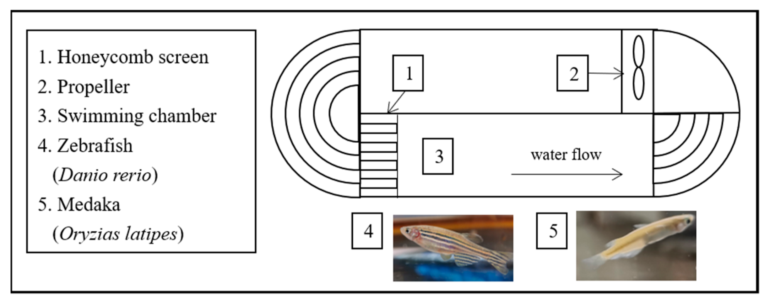 Ijerph 17 03389 g001 Ijerph 17 03389 g001