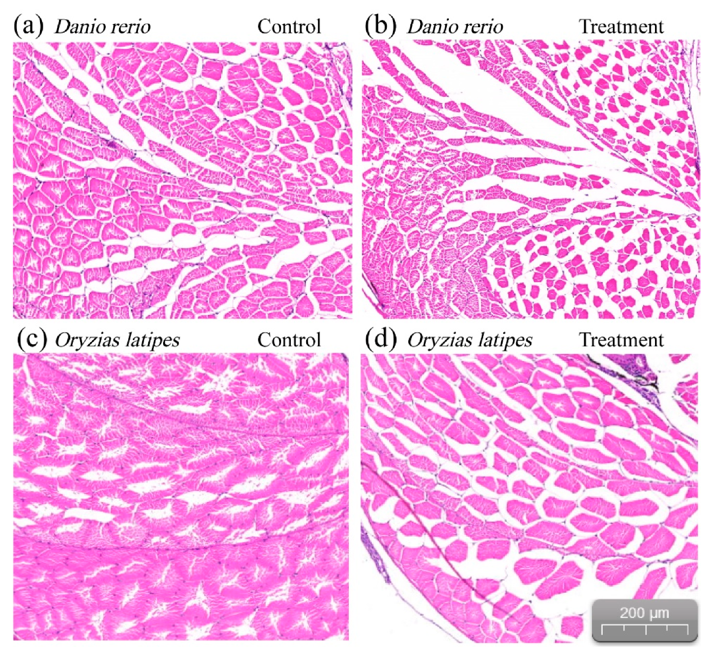 Ijerph 17 03389 g003 Ijerph 17 03389 g003