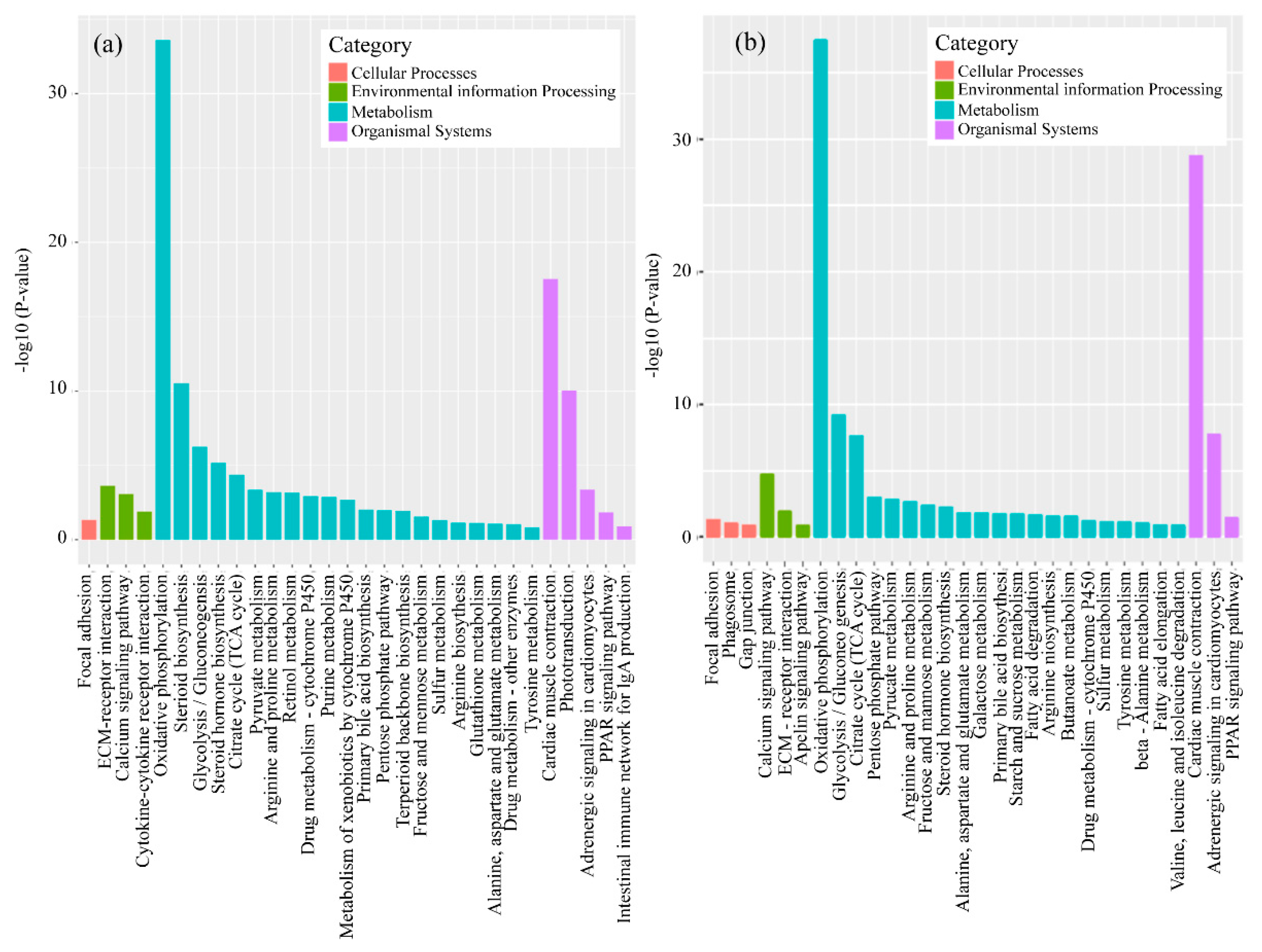 Ijerph 17 03389 g005 Ijerph 17 03389 g005