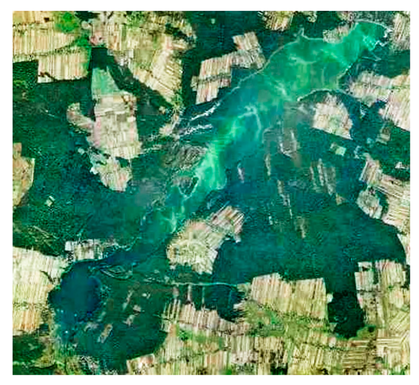 Ijerph 17 03424 g013