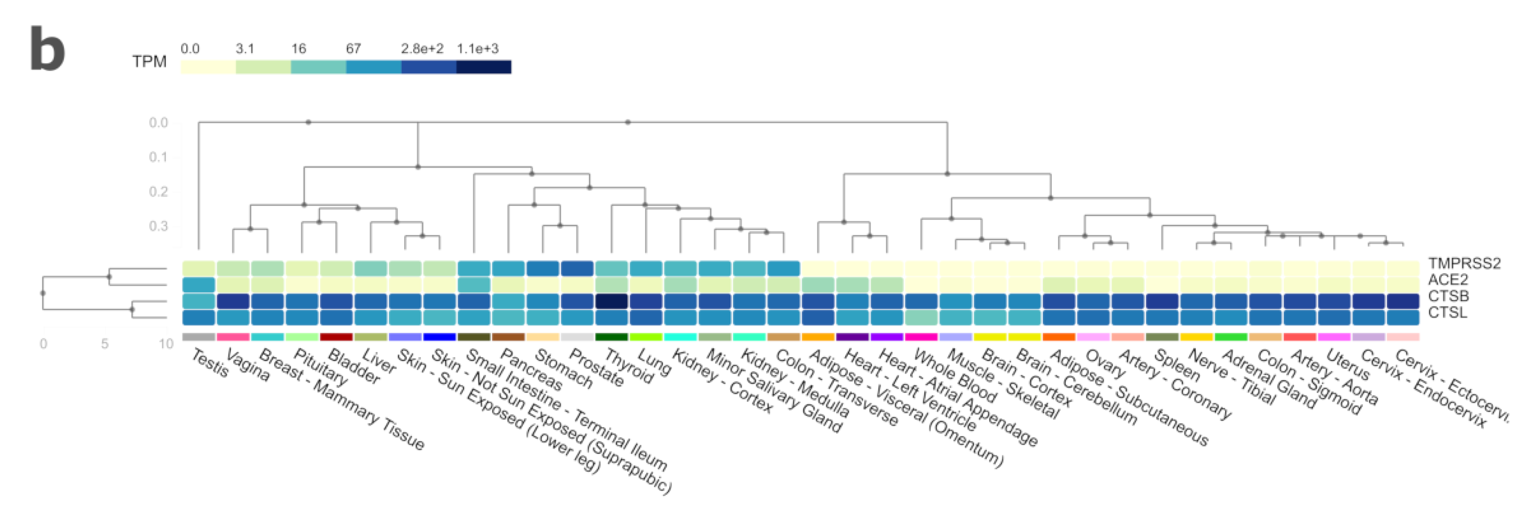 Ijerph 17 03433 g001b