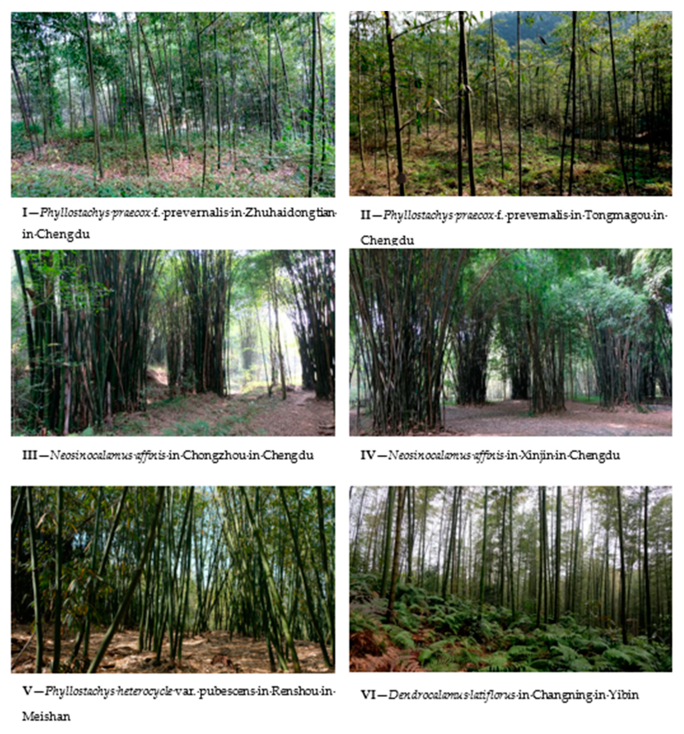 Ijerph 17 03434 g002