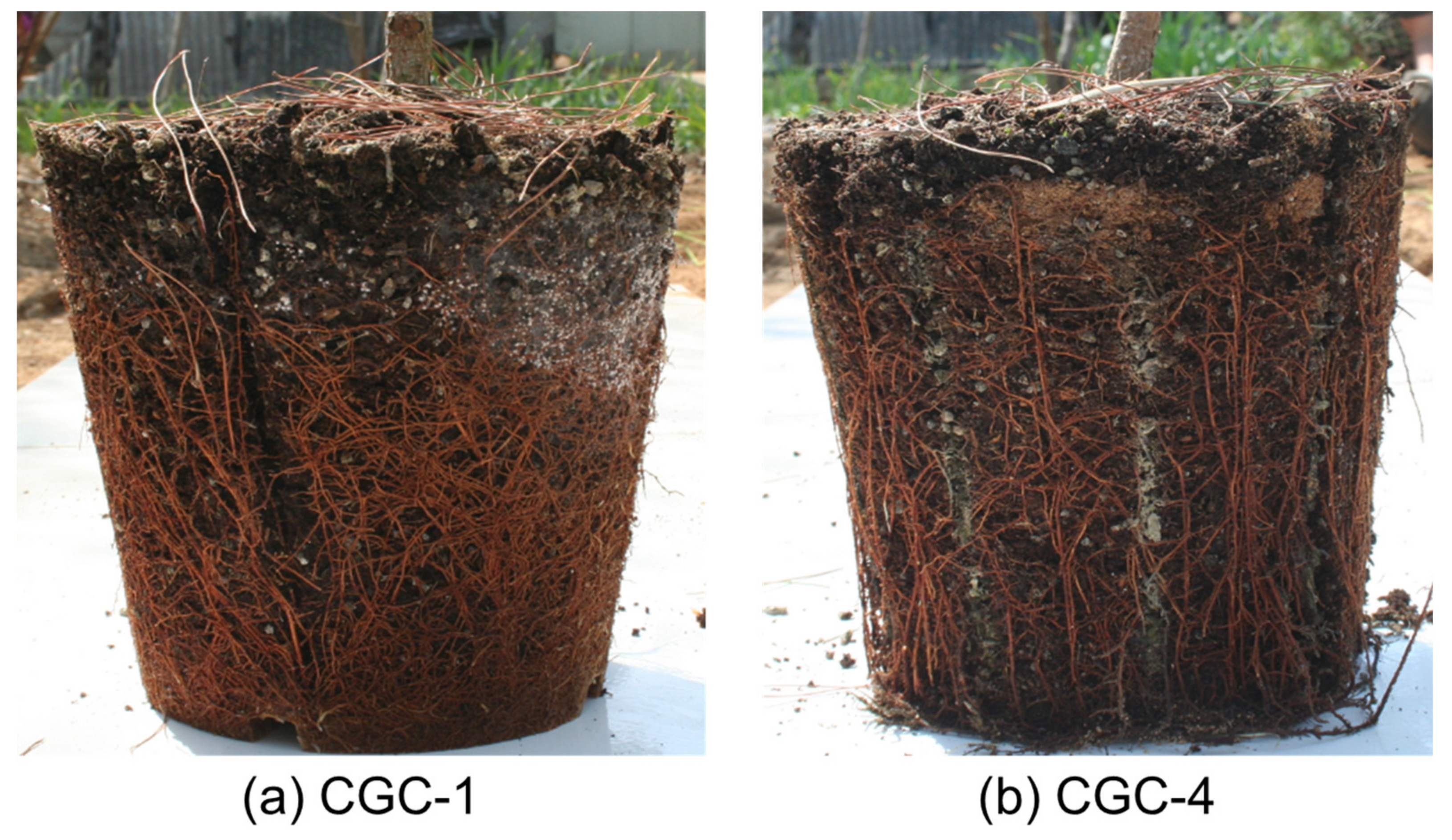 Ijerph 17 03565 g005