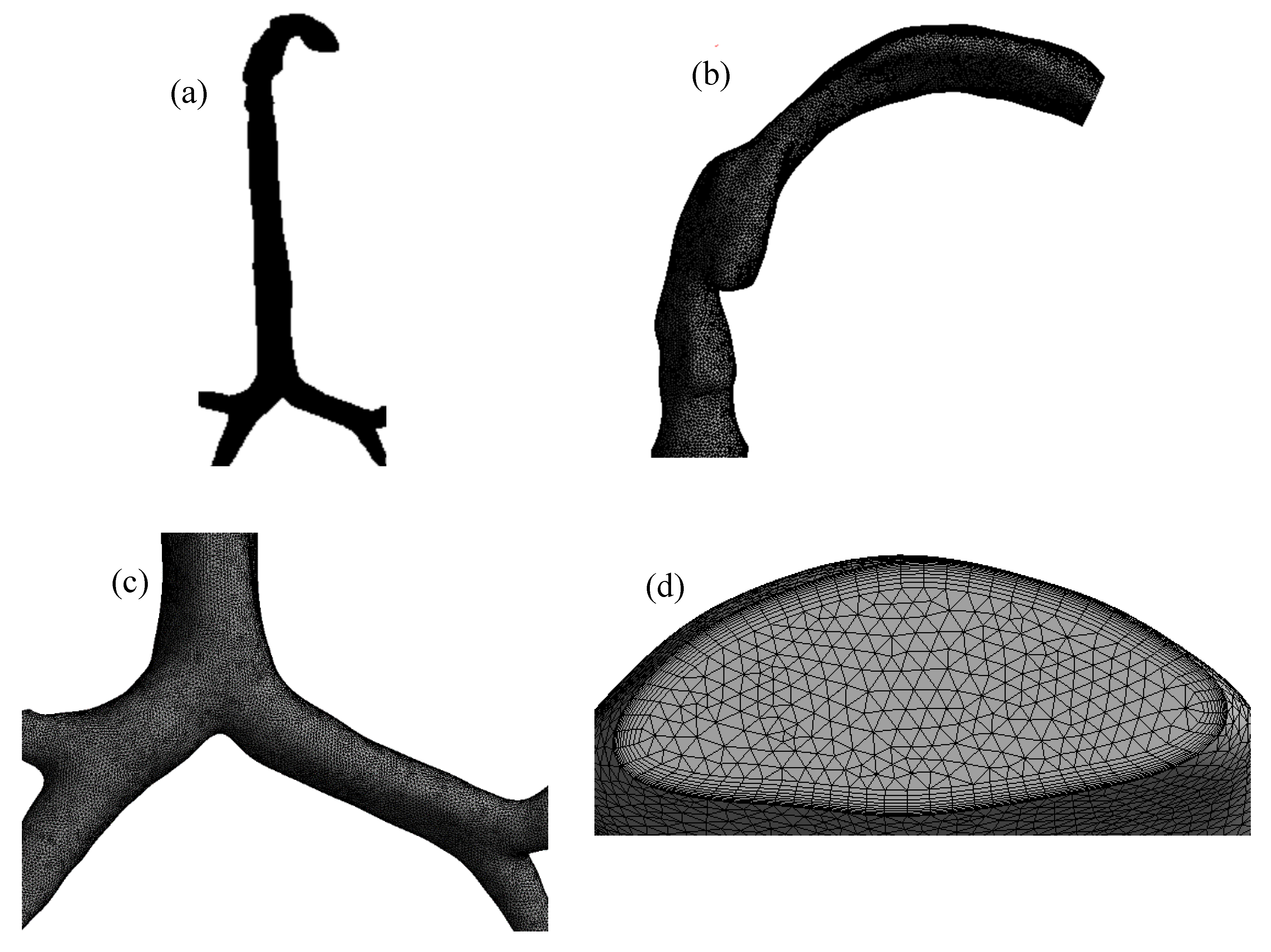 Ijerph 17 03574 g002