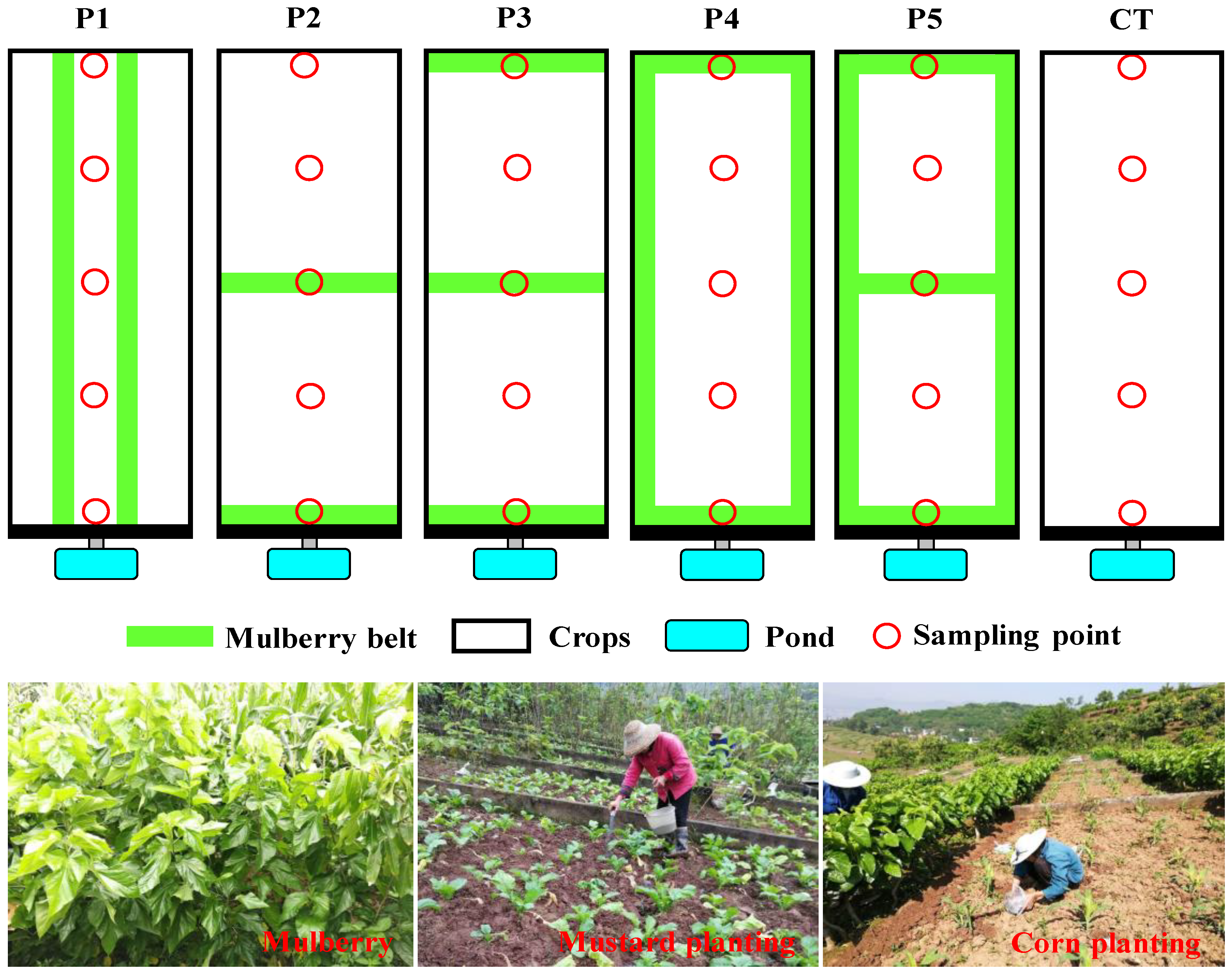 Ijerph 17 03599 g002