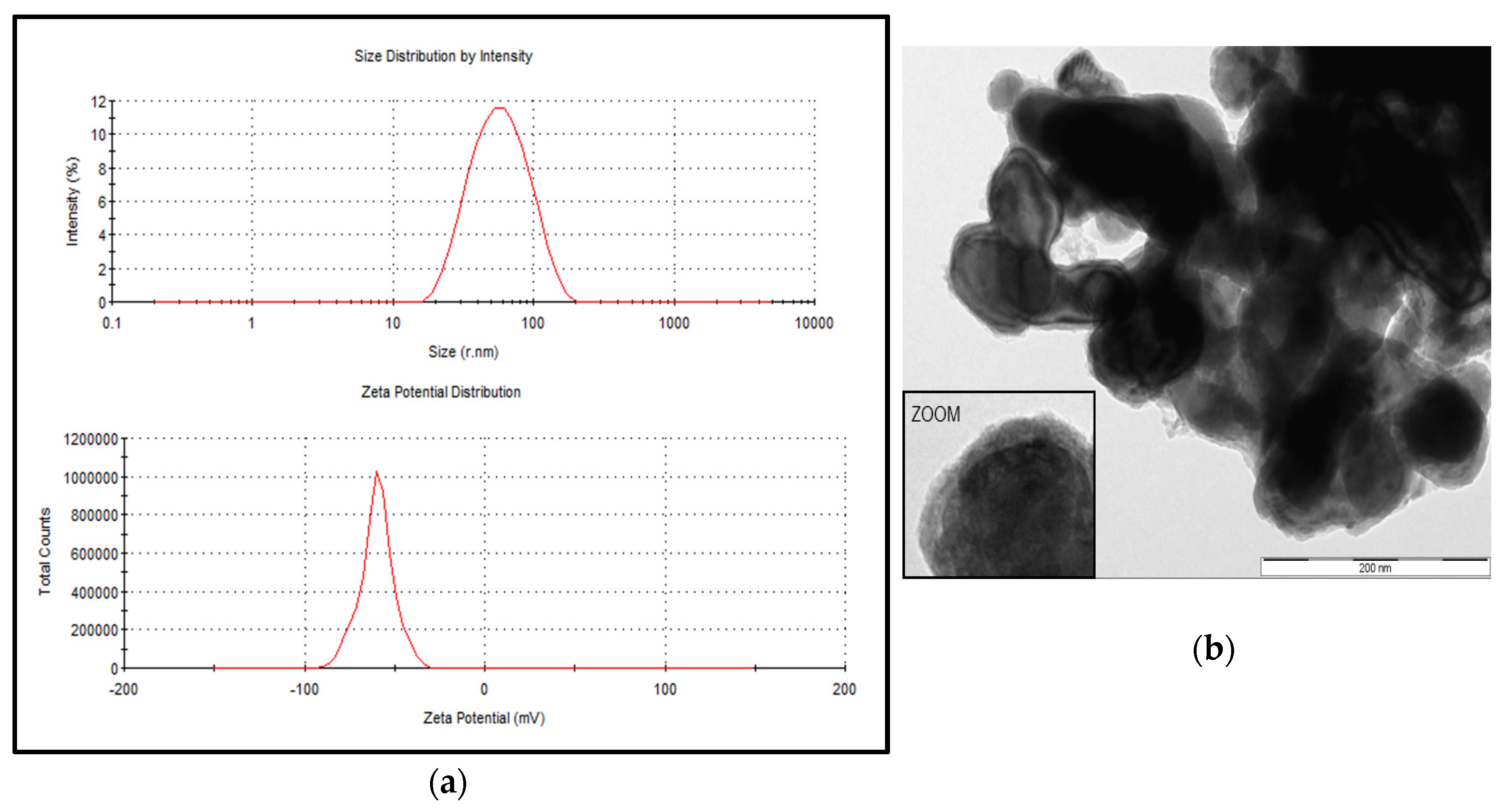 Ijerph 17 03622 g001 Ijerph 17 03622 g001
