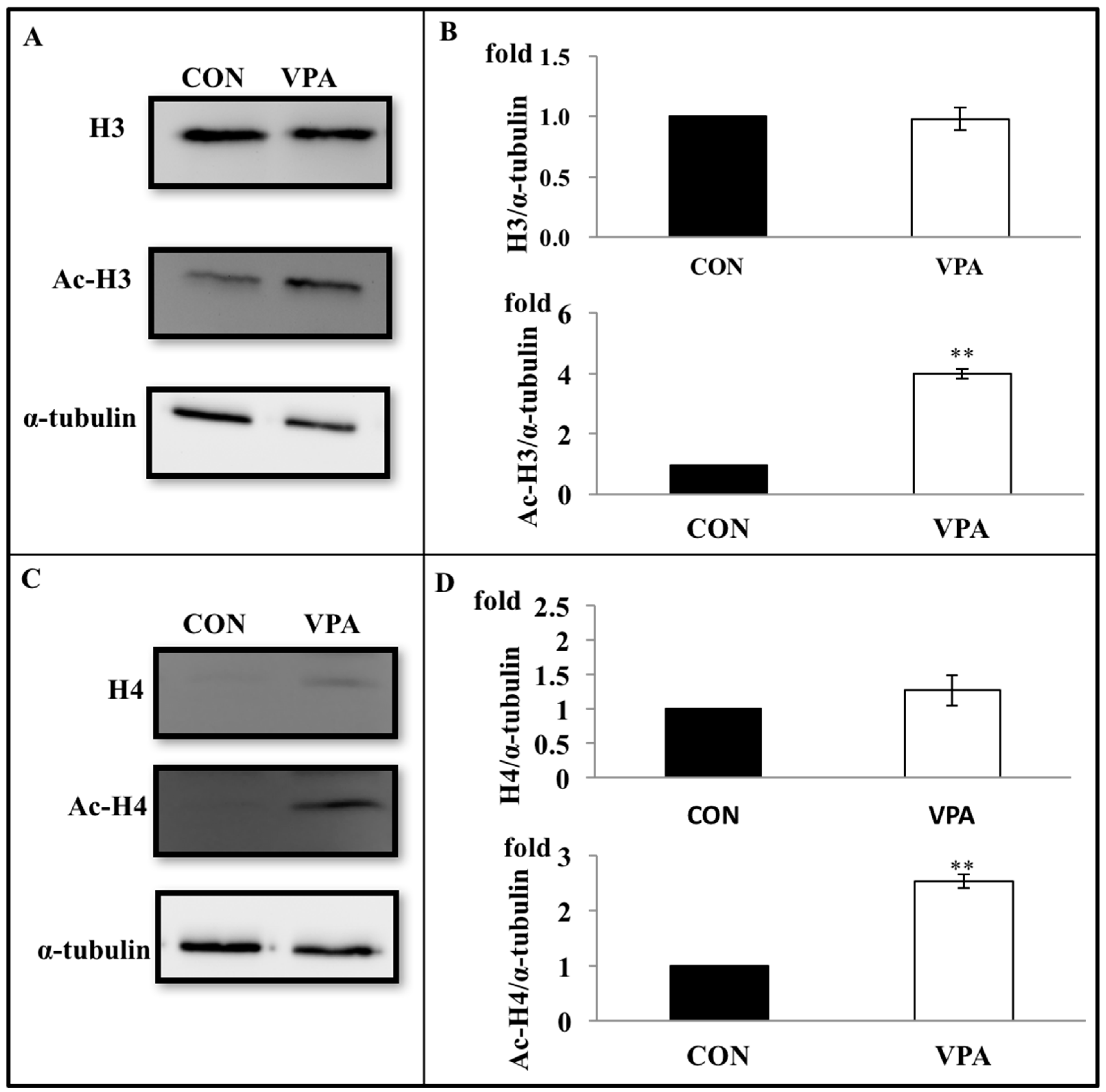 Ijerph 17 03675 g007 Ijerph 17 03675 g007