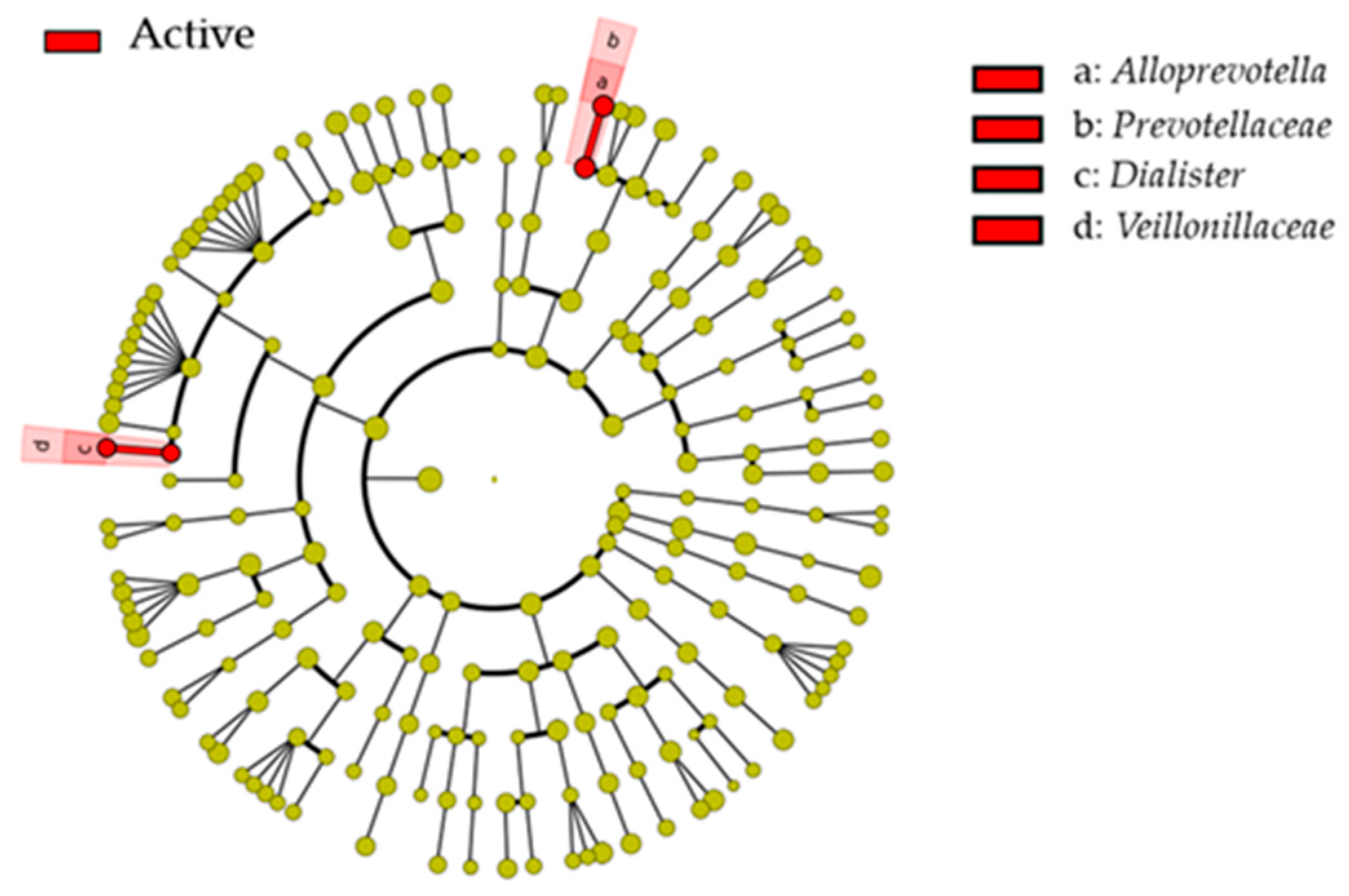 Ijerph 17 03713 g003 Ijerph 17 03713 g003
