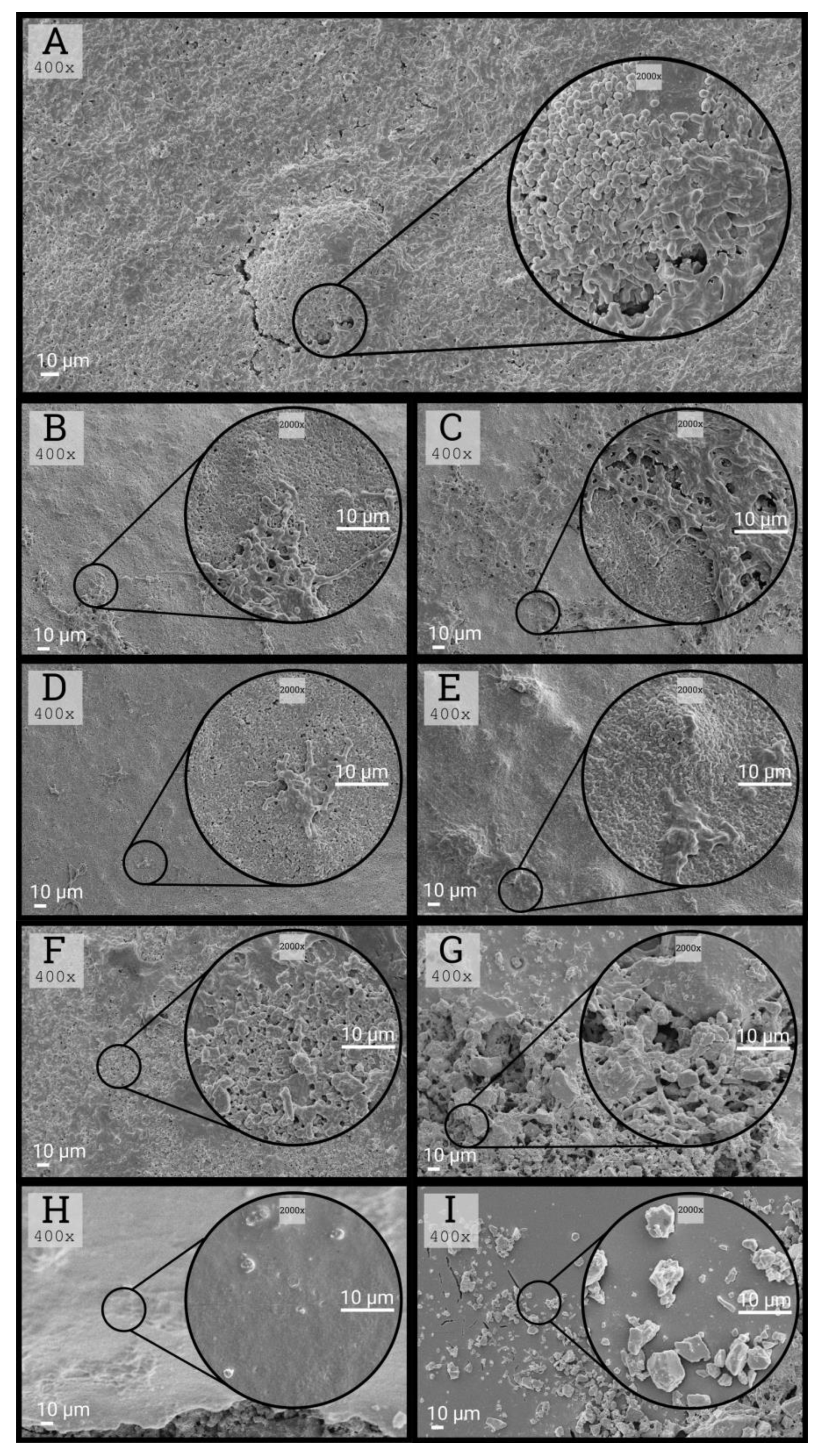 Ijerph 17 03720 g005