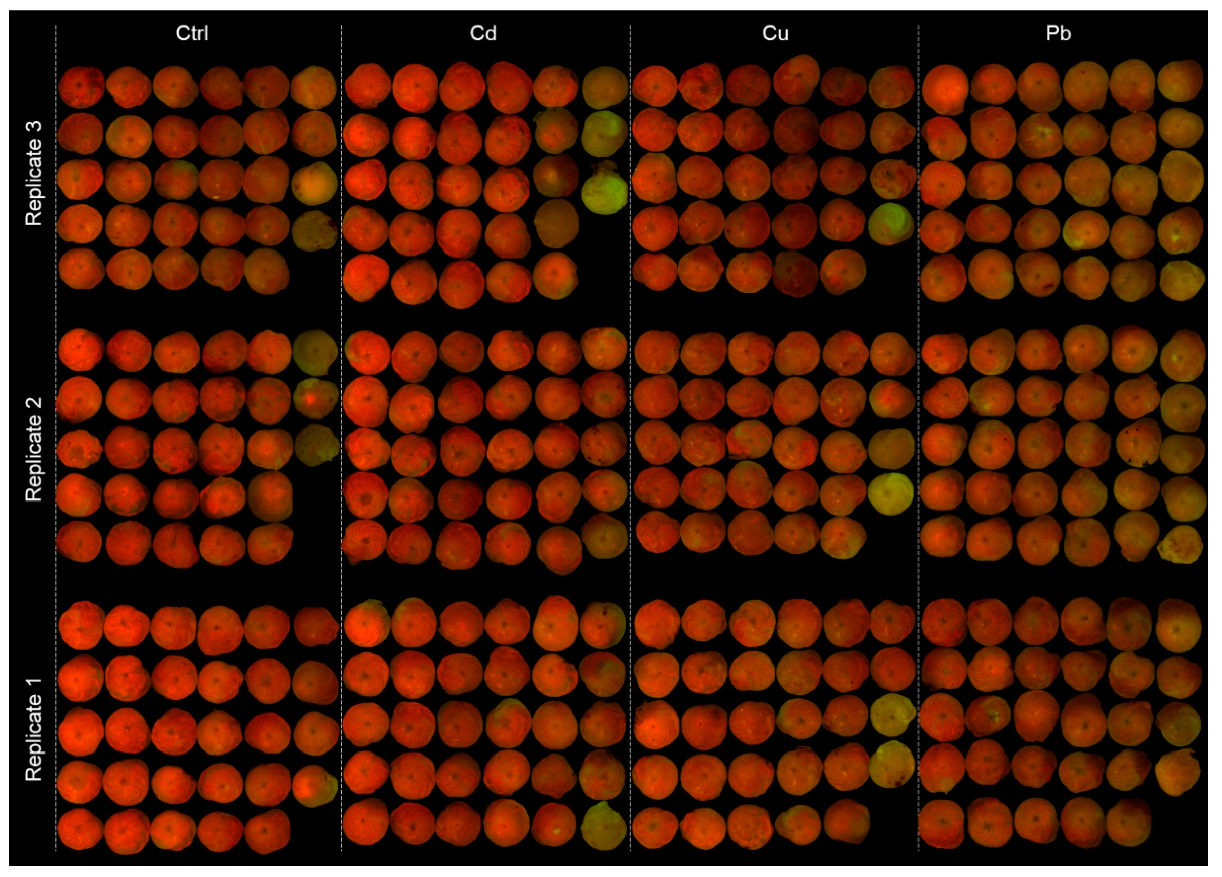 Ijerph 17 03741 g004 Ijerph 17 03741 g004