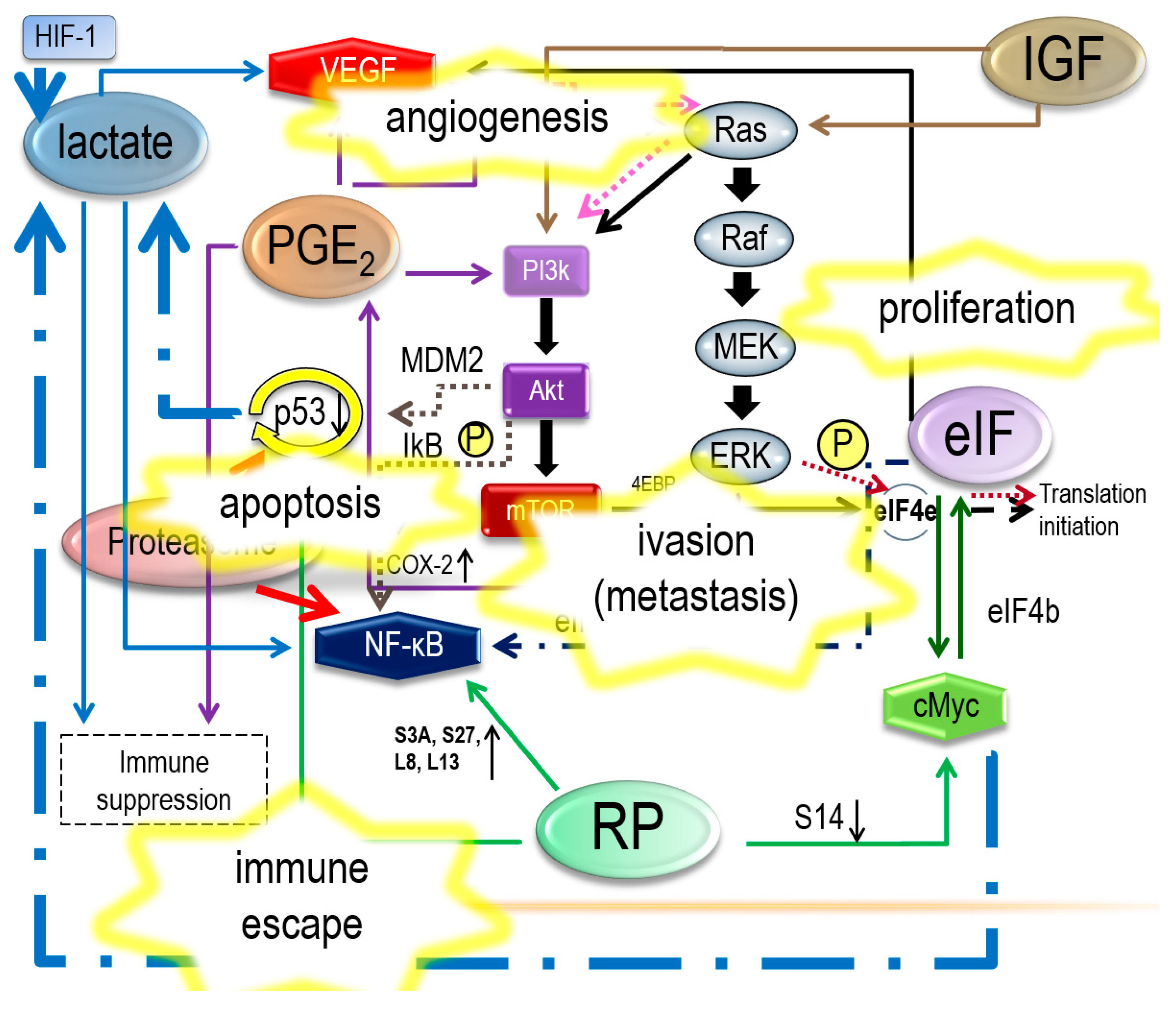 Ijerph 17 03951 g003