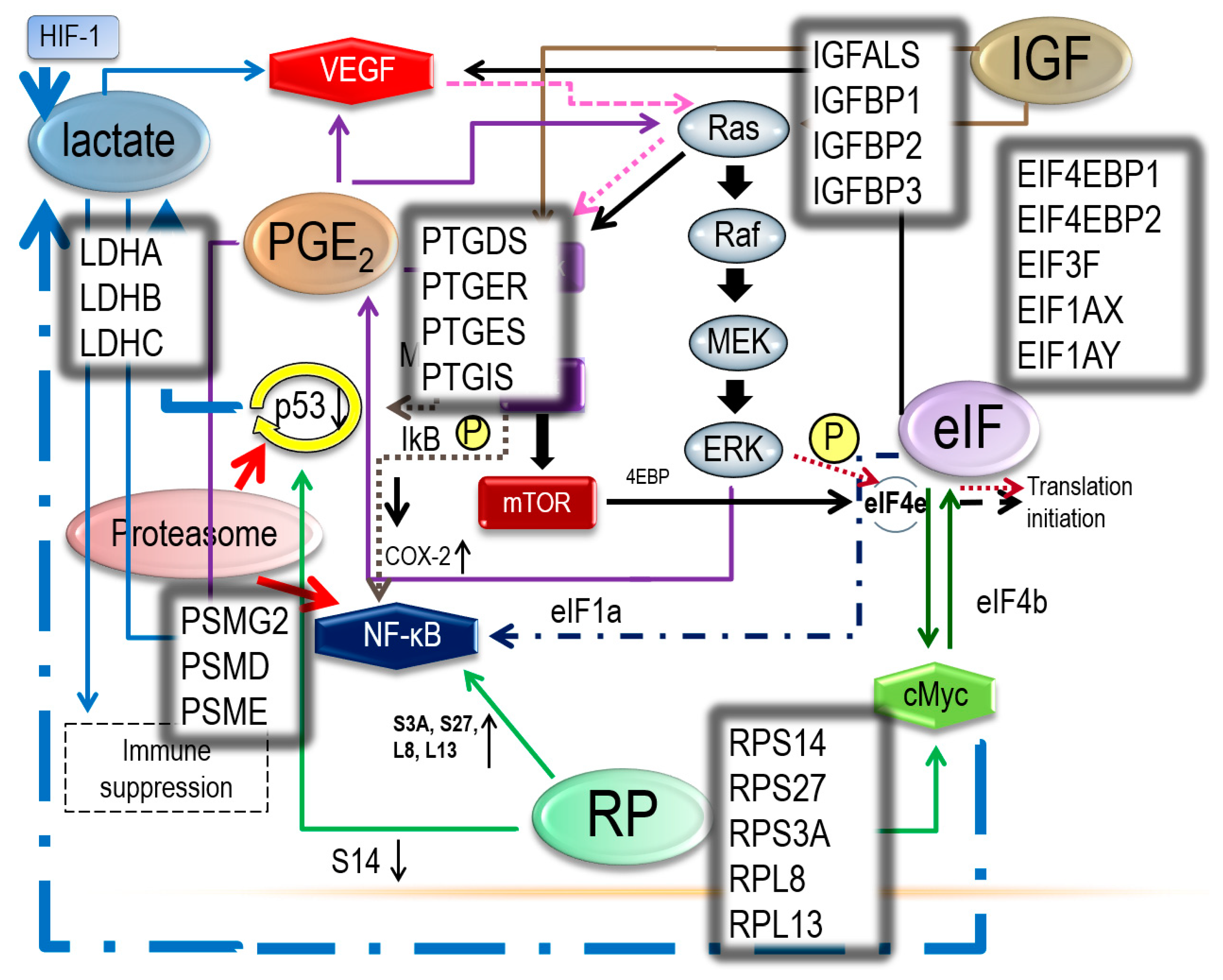 Ijerph 17 03951 g004