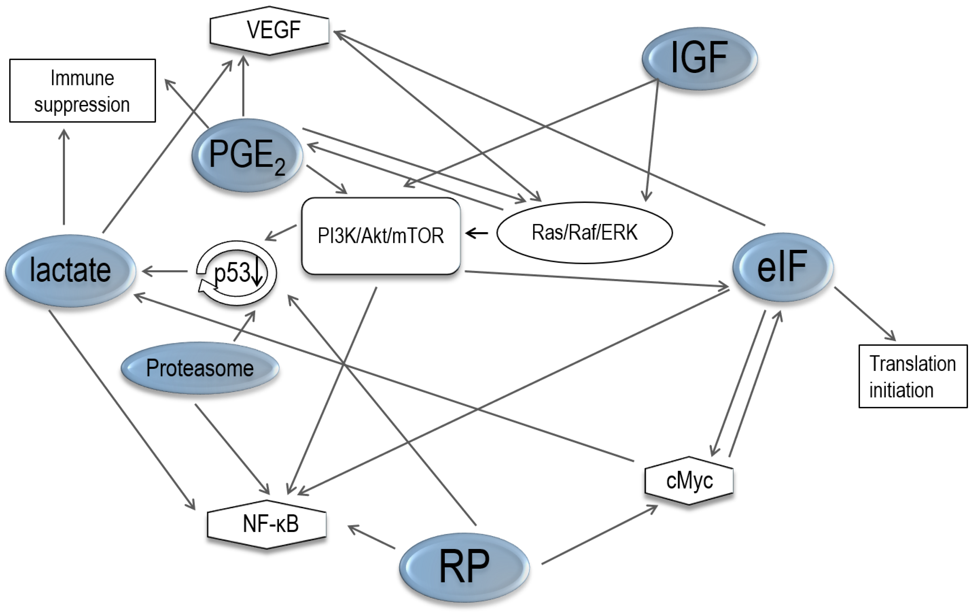 Ijerph 17 03951 g005