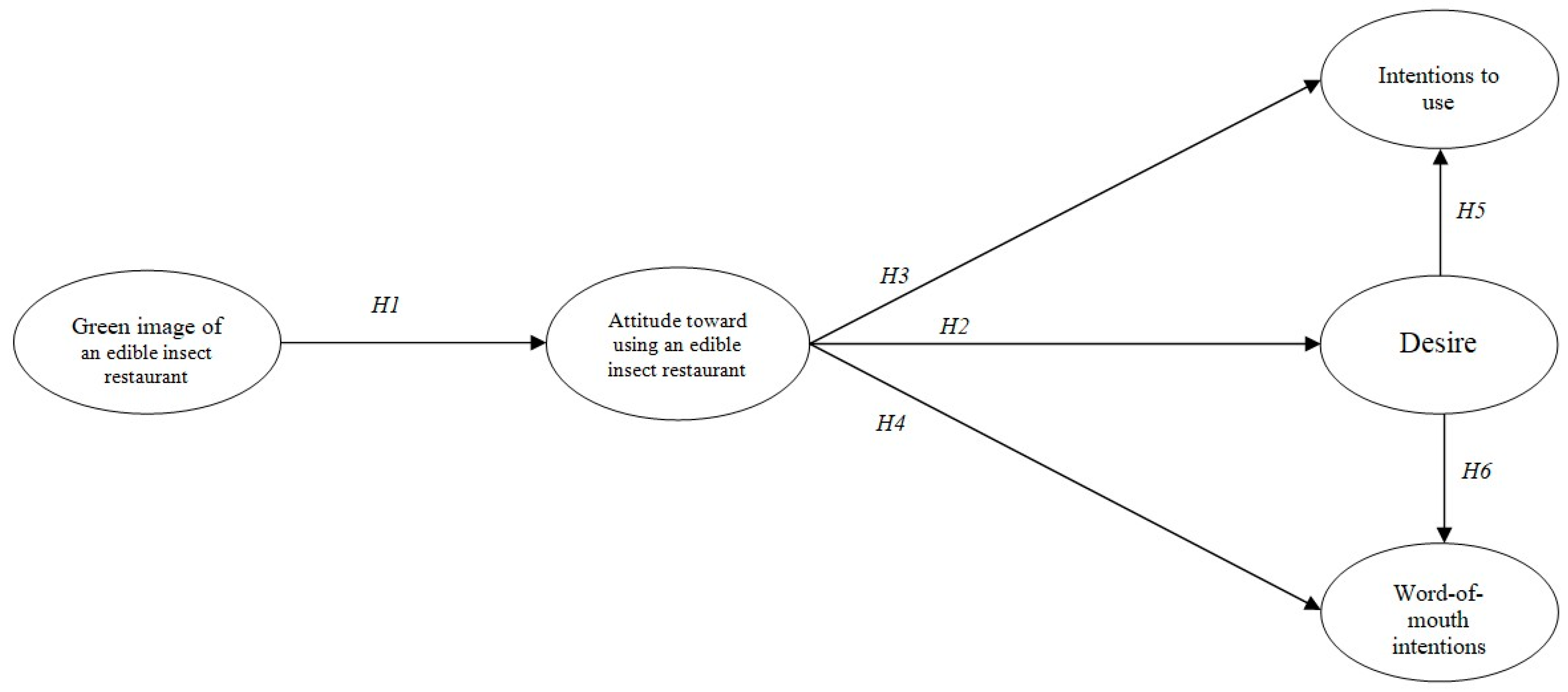 Path model