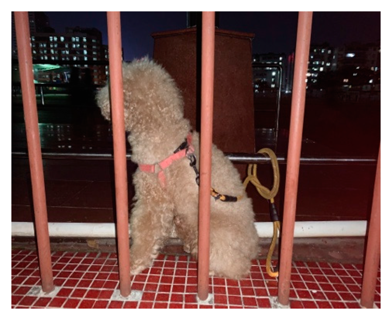 Ijerph 17 04091 g001 Ijerph 17 04091 g001