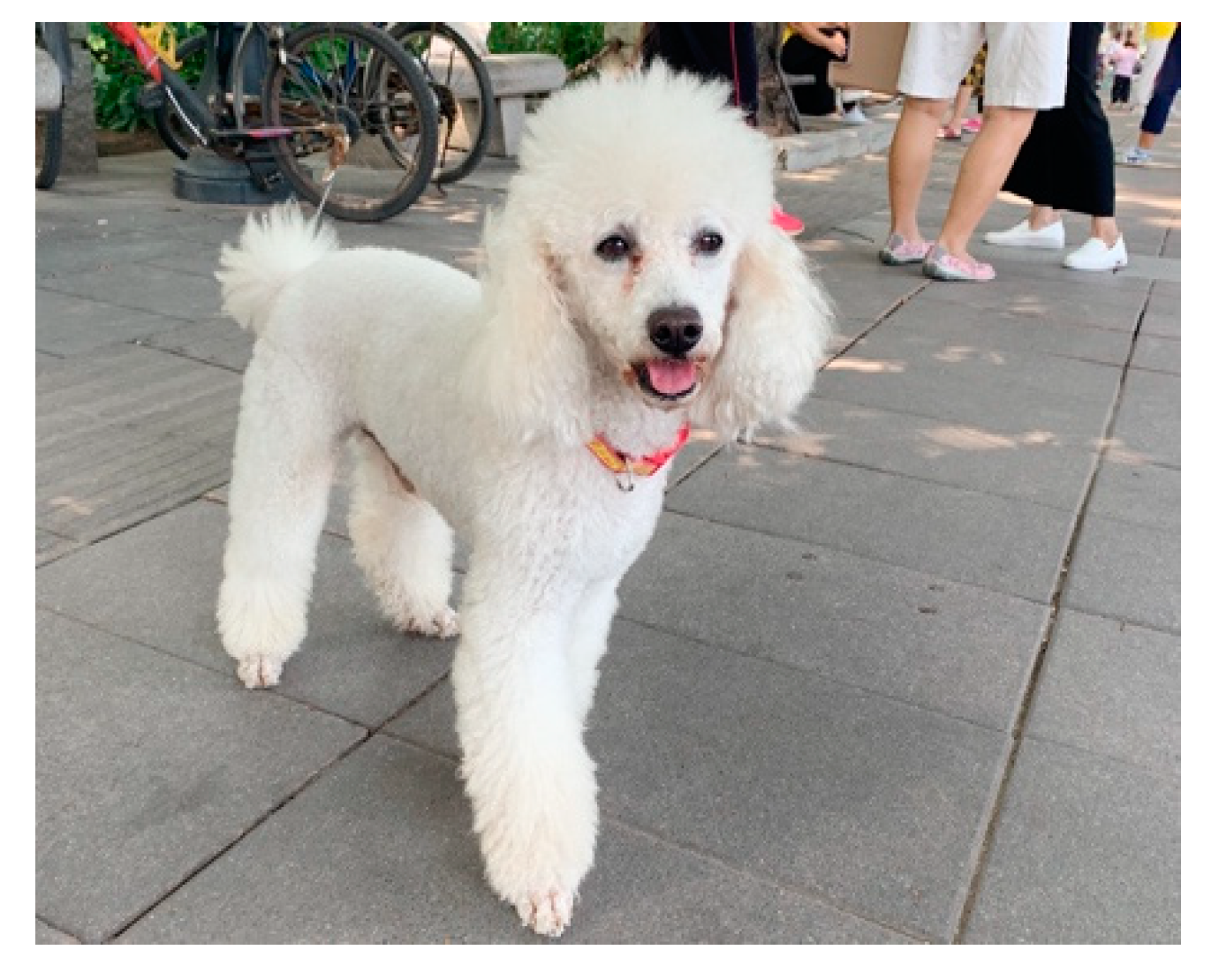 Ijerph 17 04091 g002 Ijerph 17 04091 g002