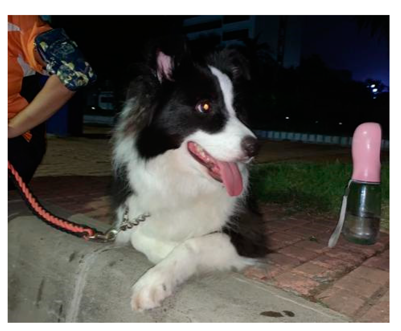 Ijerph 17 04091 g003 Ijerph 17 04091 g003