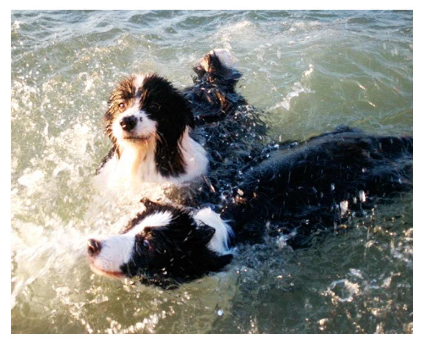 Ijerph 17 04091 g004 Ijerph 17 04091 g004