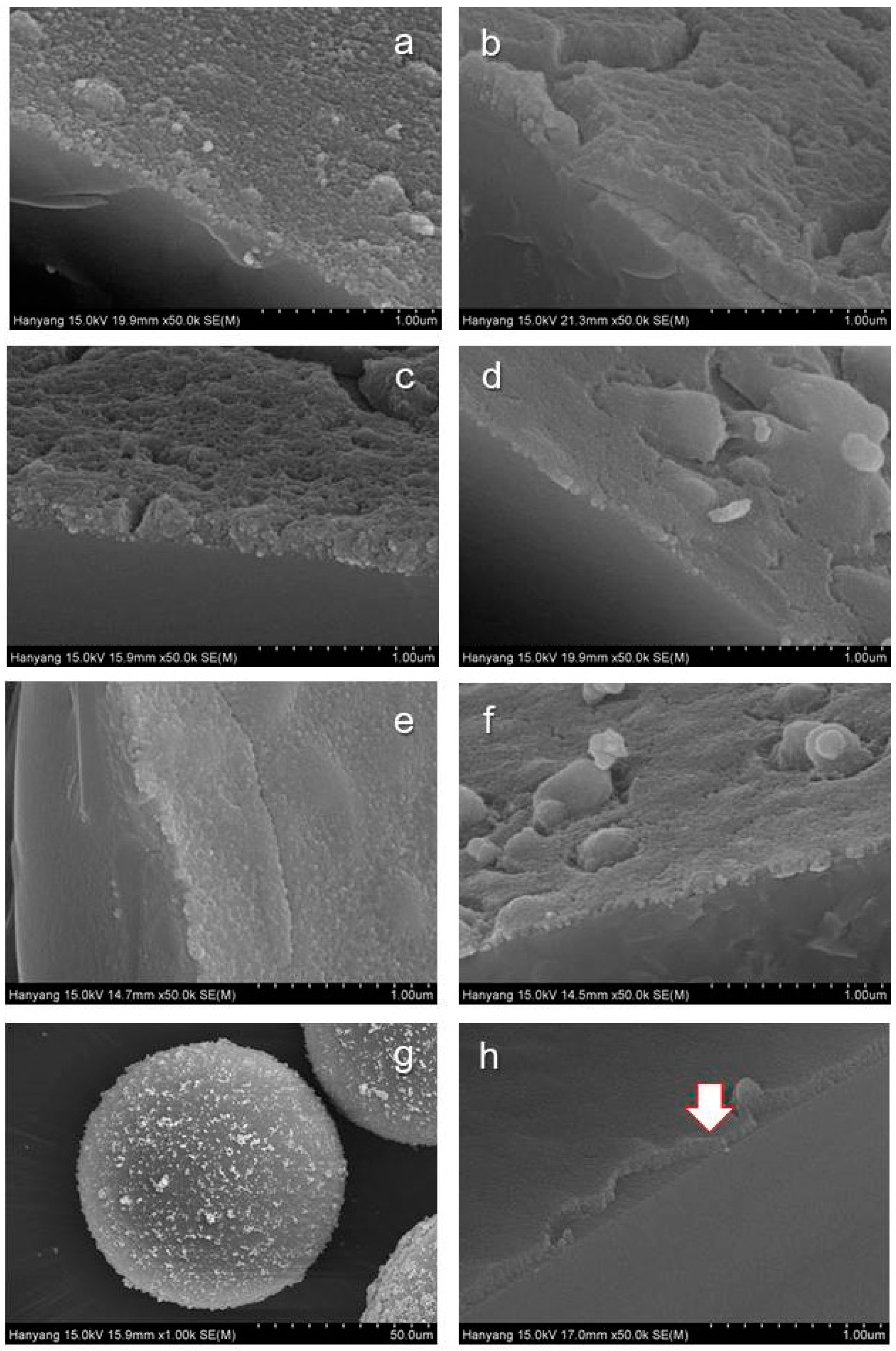 Ijerph 17 04203 g003