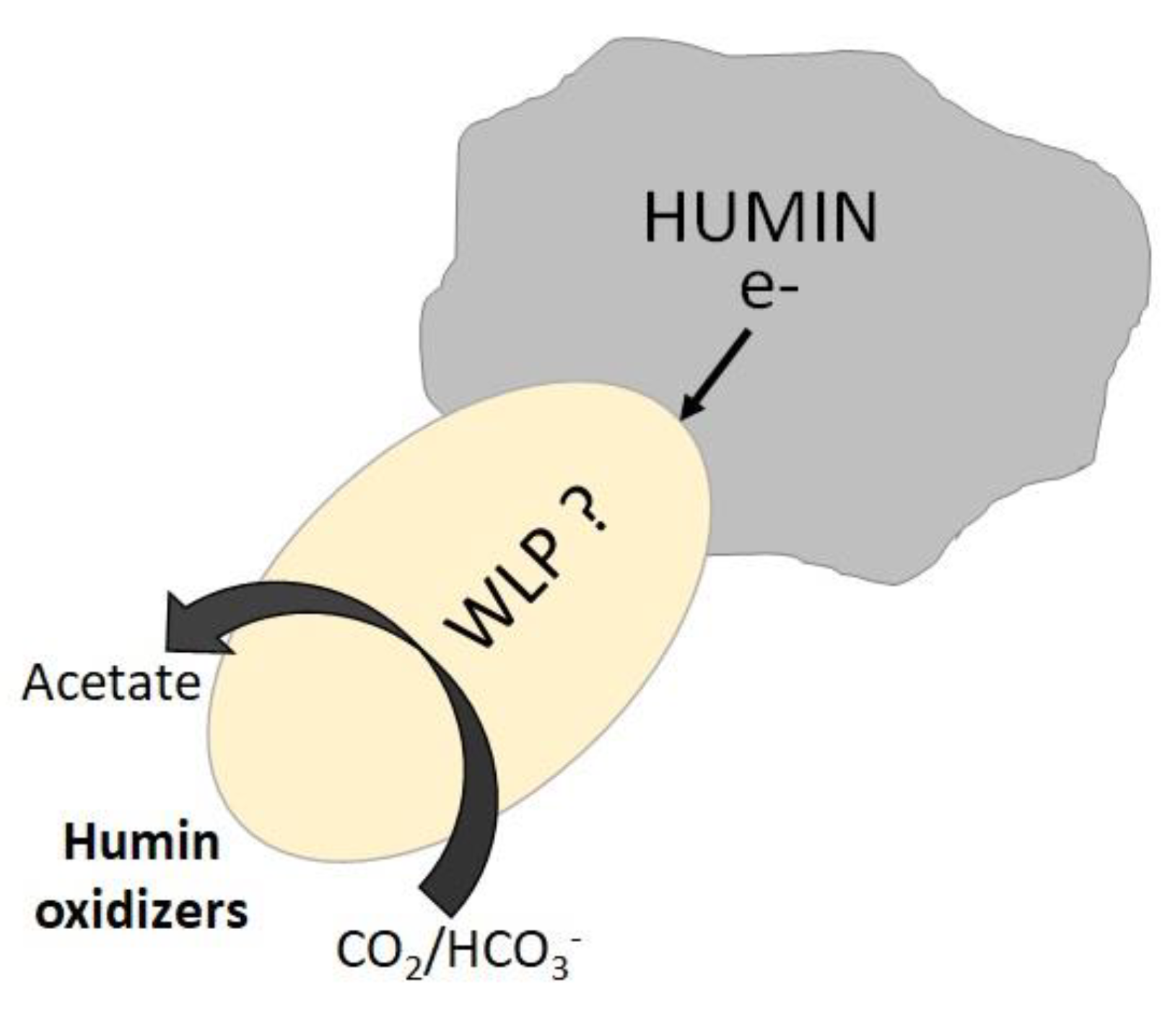 Ijerph 17 04211 g005 Ijerph 17 04211 g005