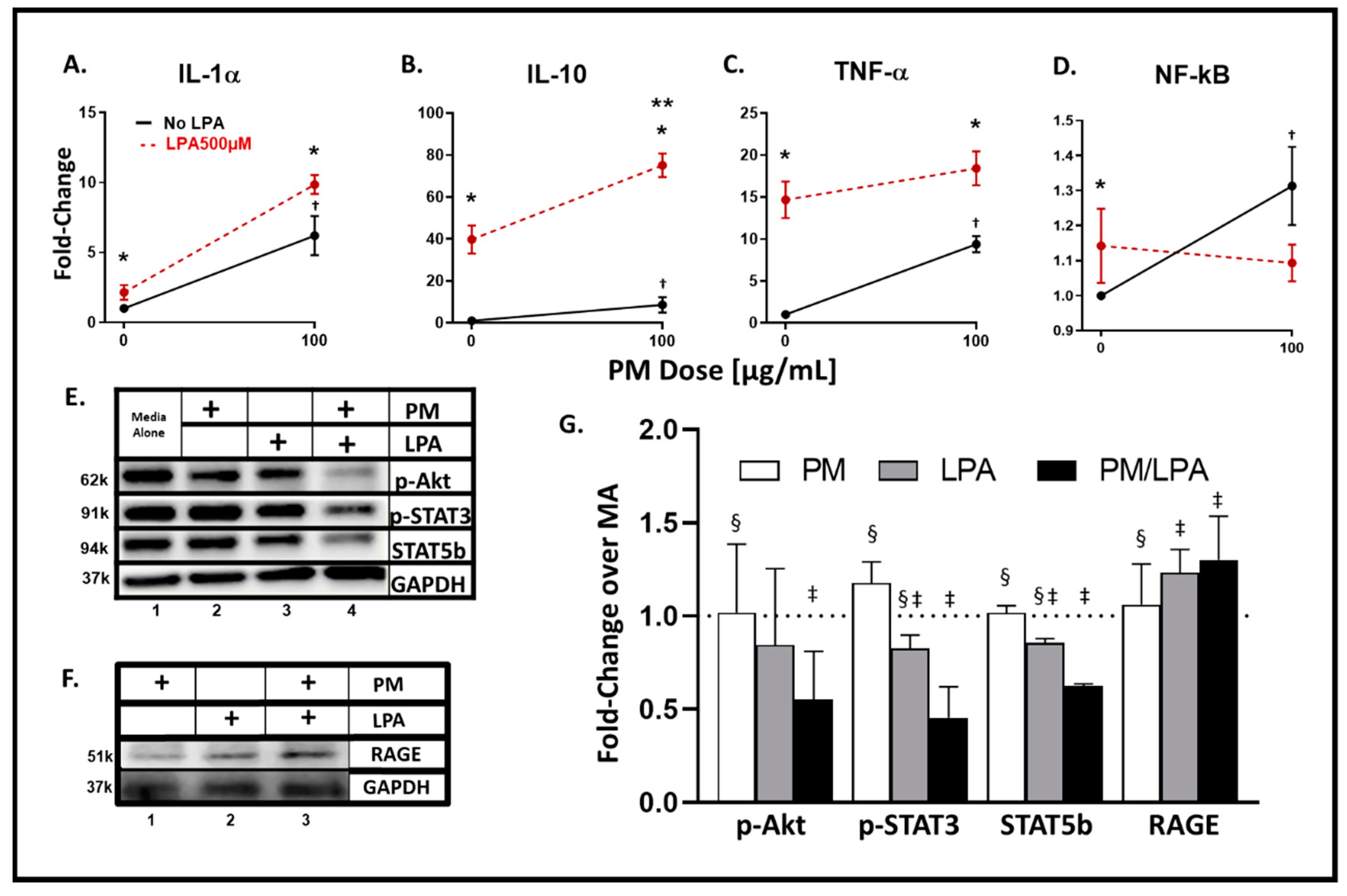 Ijerph 17 04318 g002 Ijerph 17 04318 g002