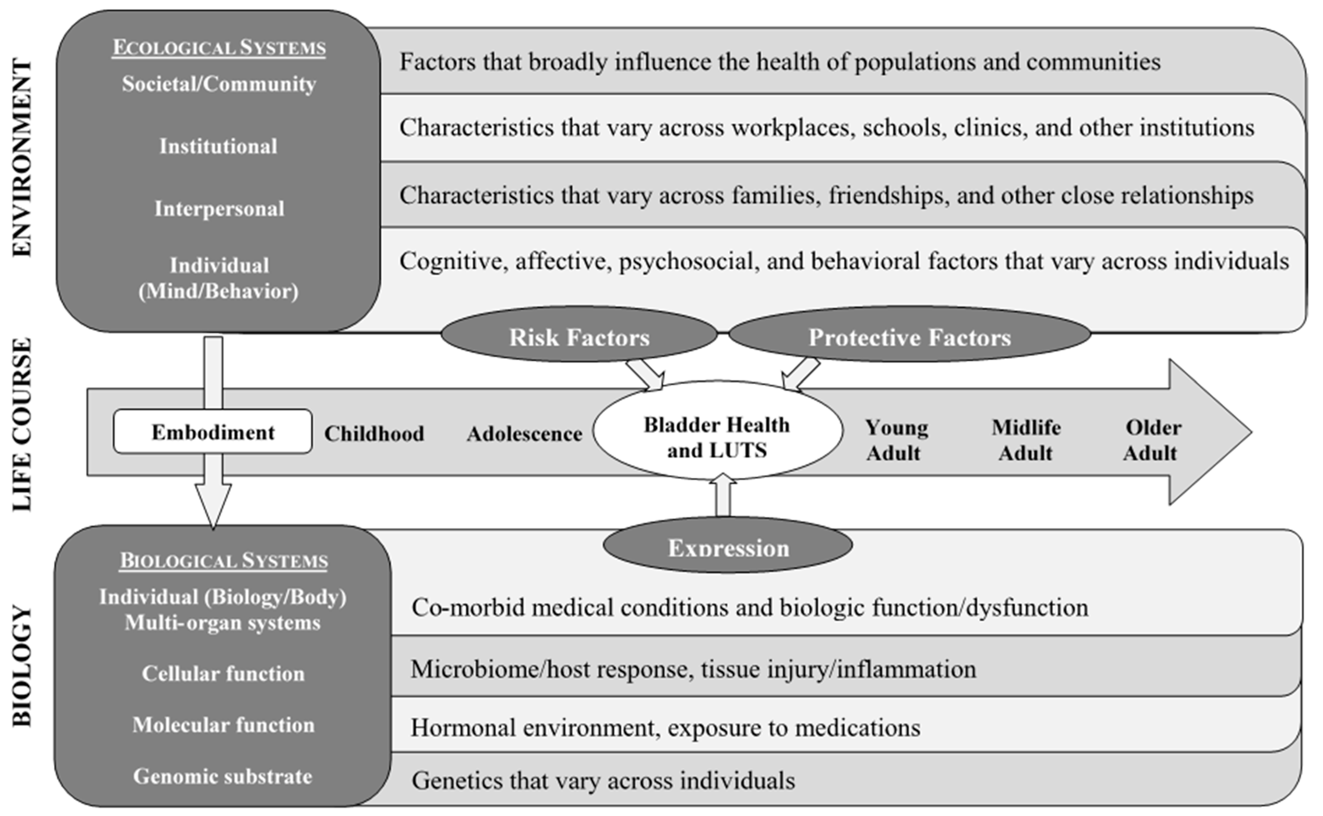 Ijerph 17 04340 g001 Ijerph 17 04340 g001