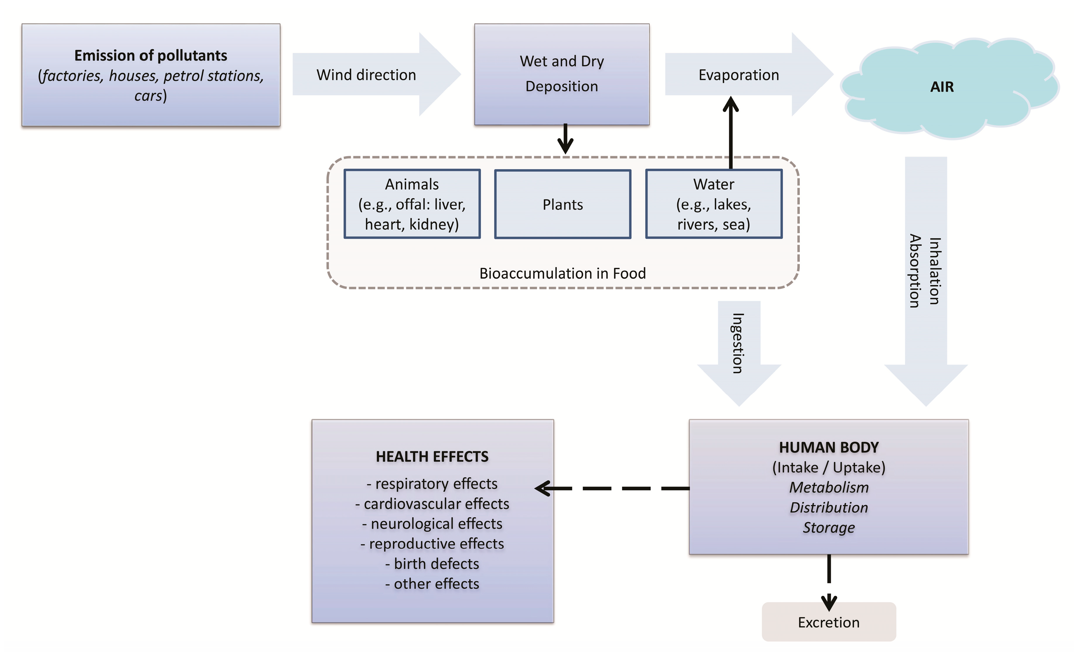 case study on lead pollution