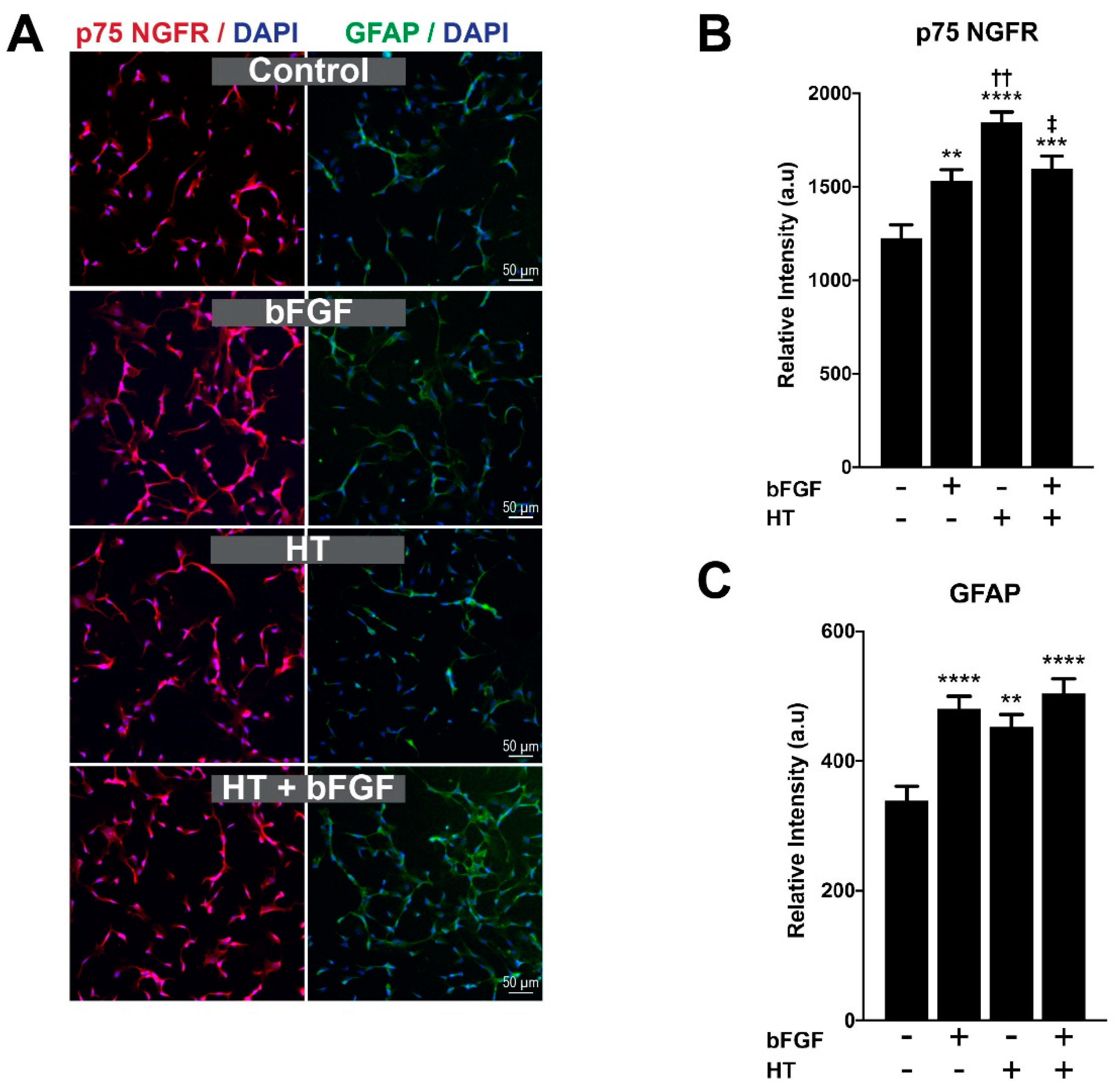 Ijerph 17 04404 g004