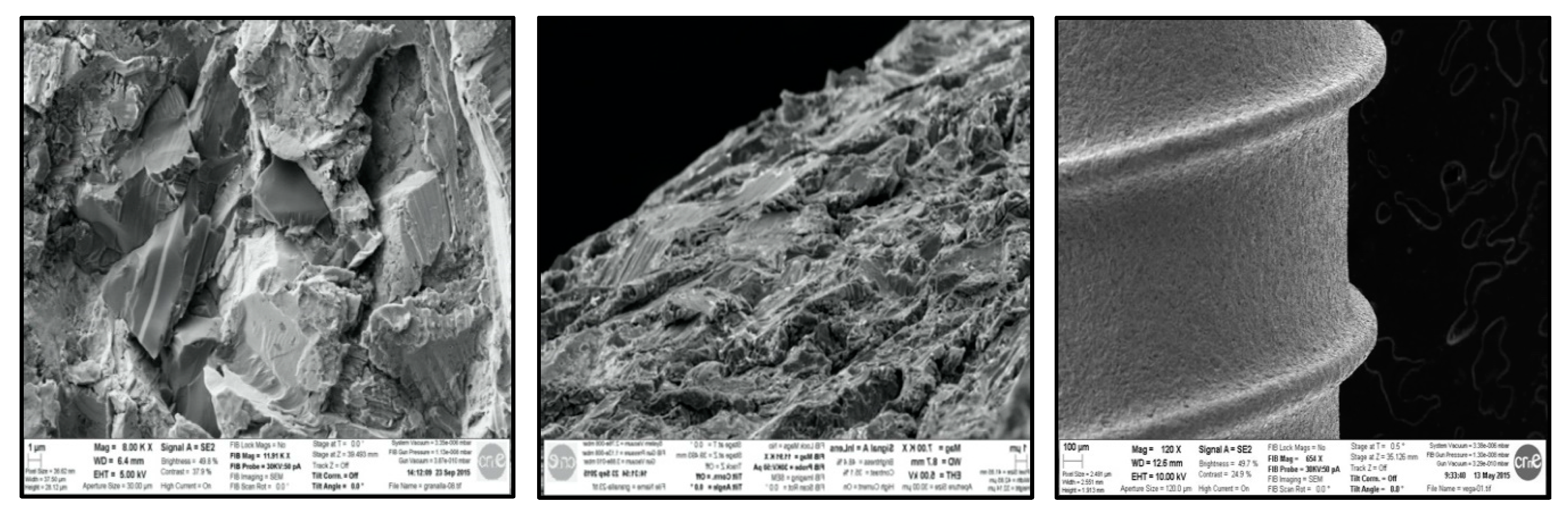 Ijerph 17 04436 g001