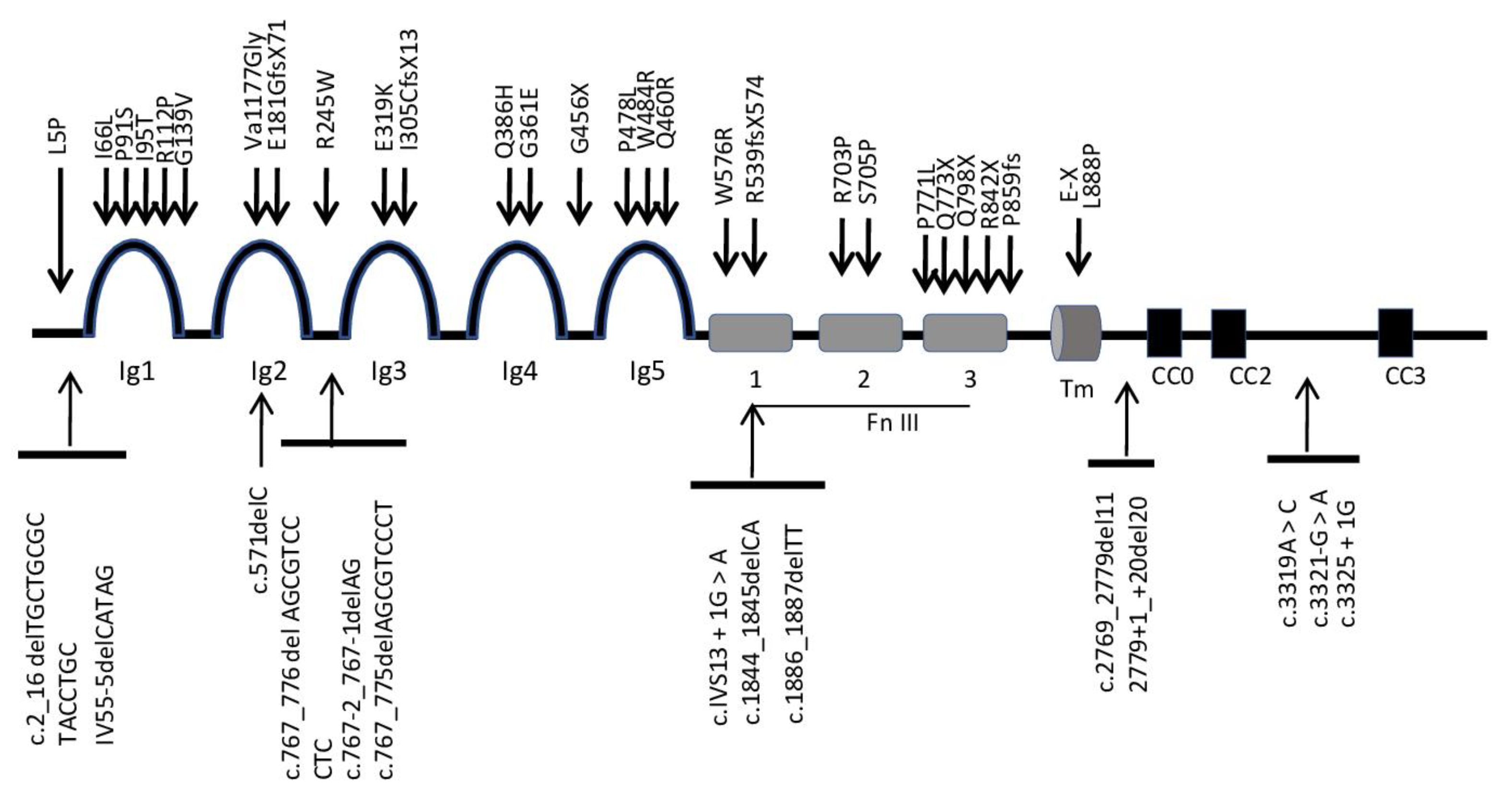 Ijerph 17 04467 g002 Ijerph 17 04467 g002