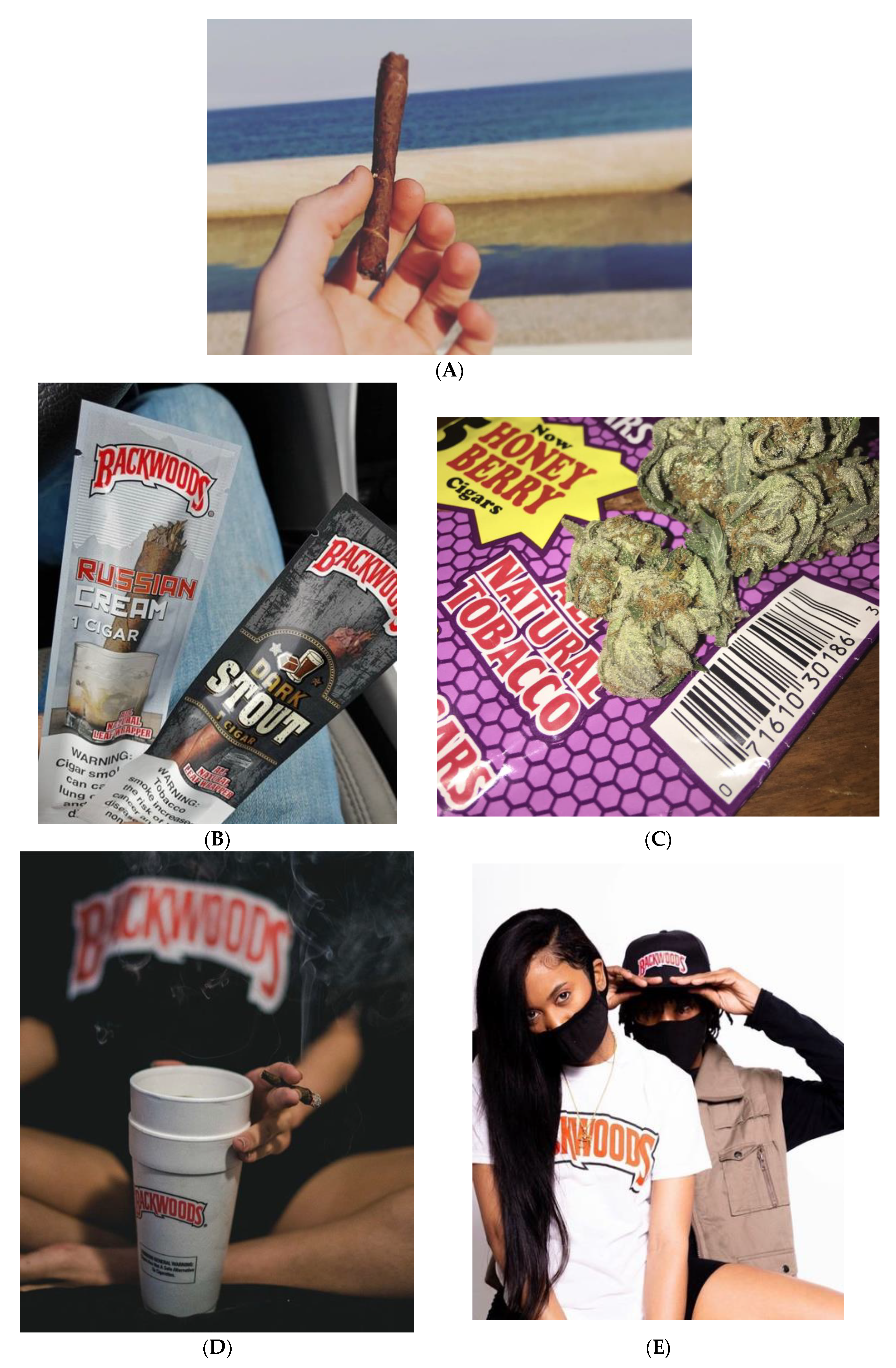 Ijerph 17 04584 g002