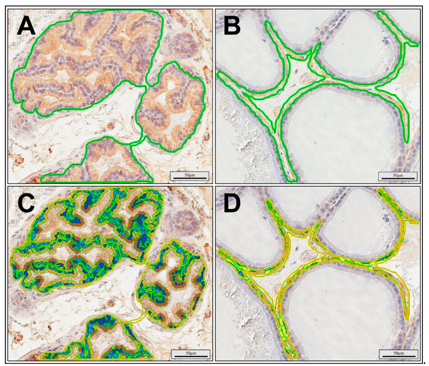 Ijerph 17 04614 g002
