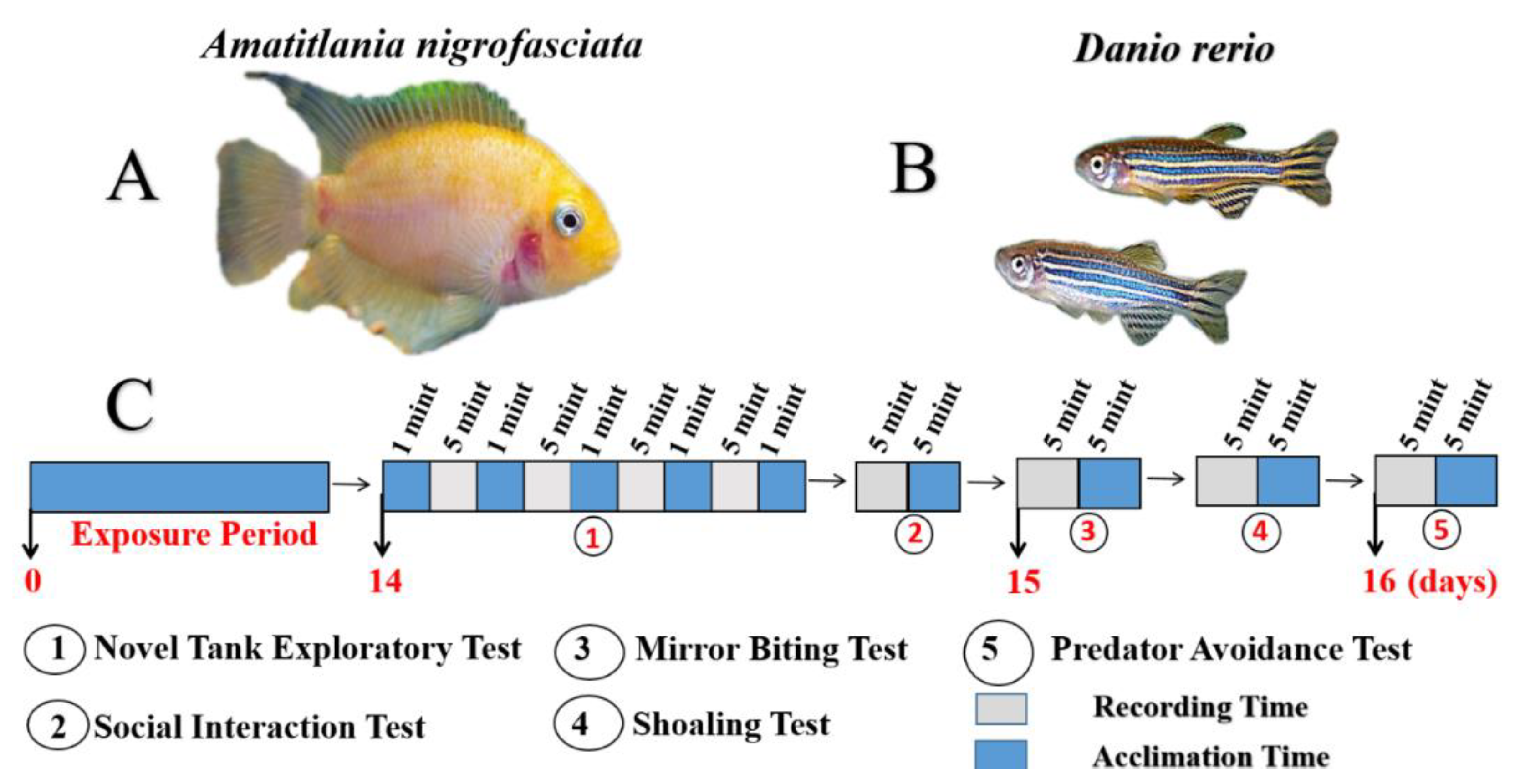 Ijerph 17 04632 g001