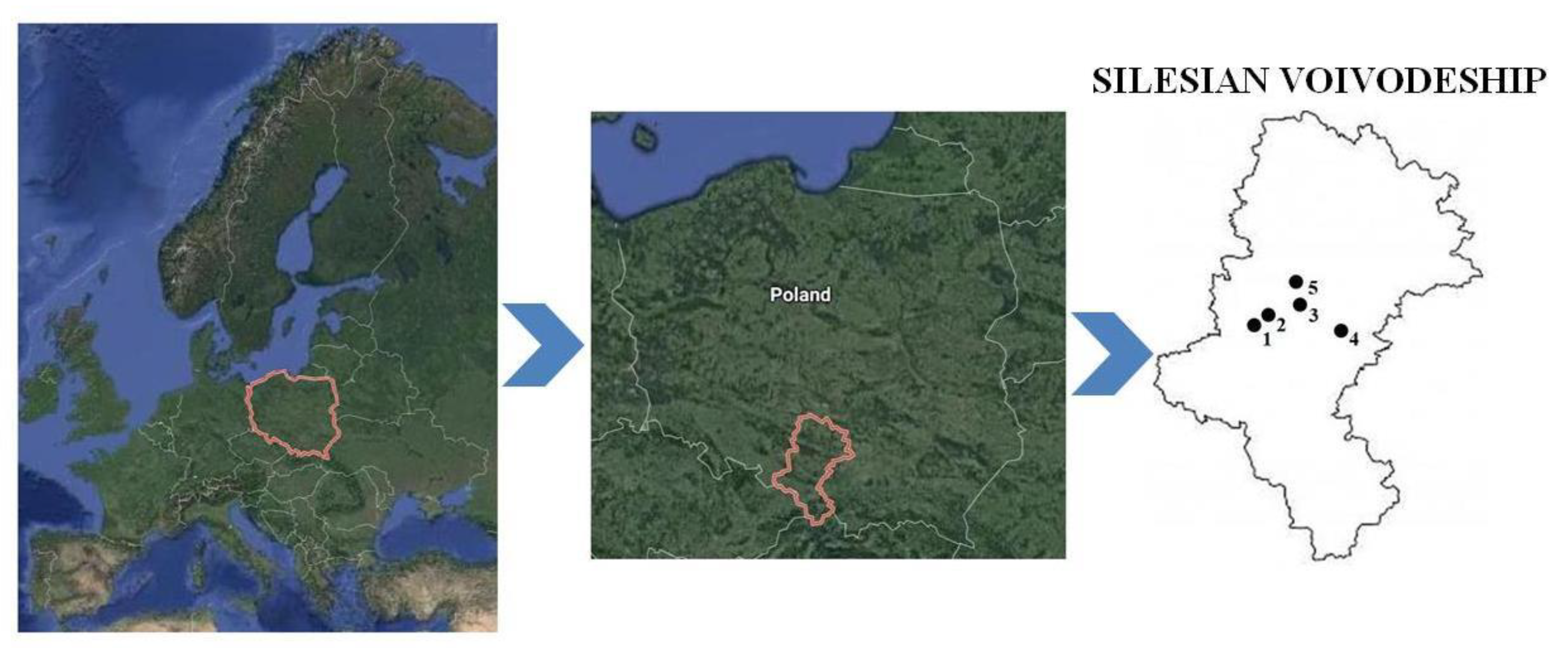 Ijerph 17 04640 g001