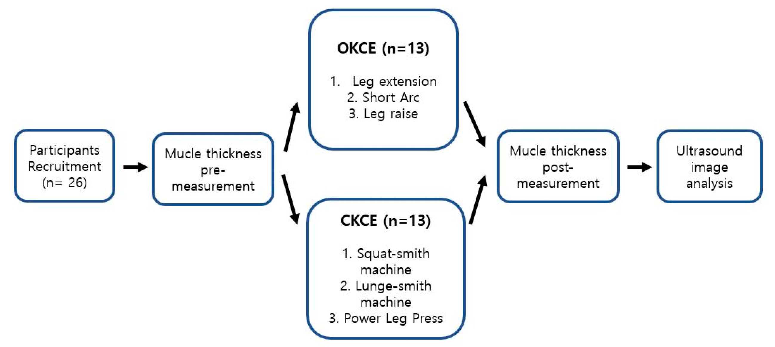 Closed chain short arc quadriceps exercises cheap