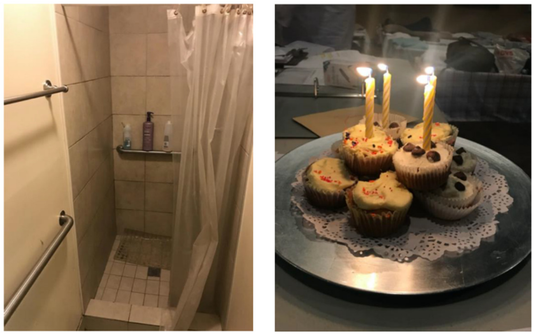 Ijerph 17 04721 g008