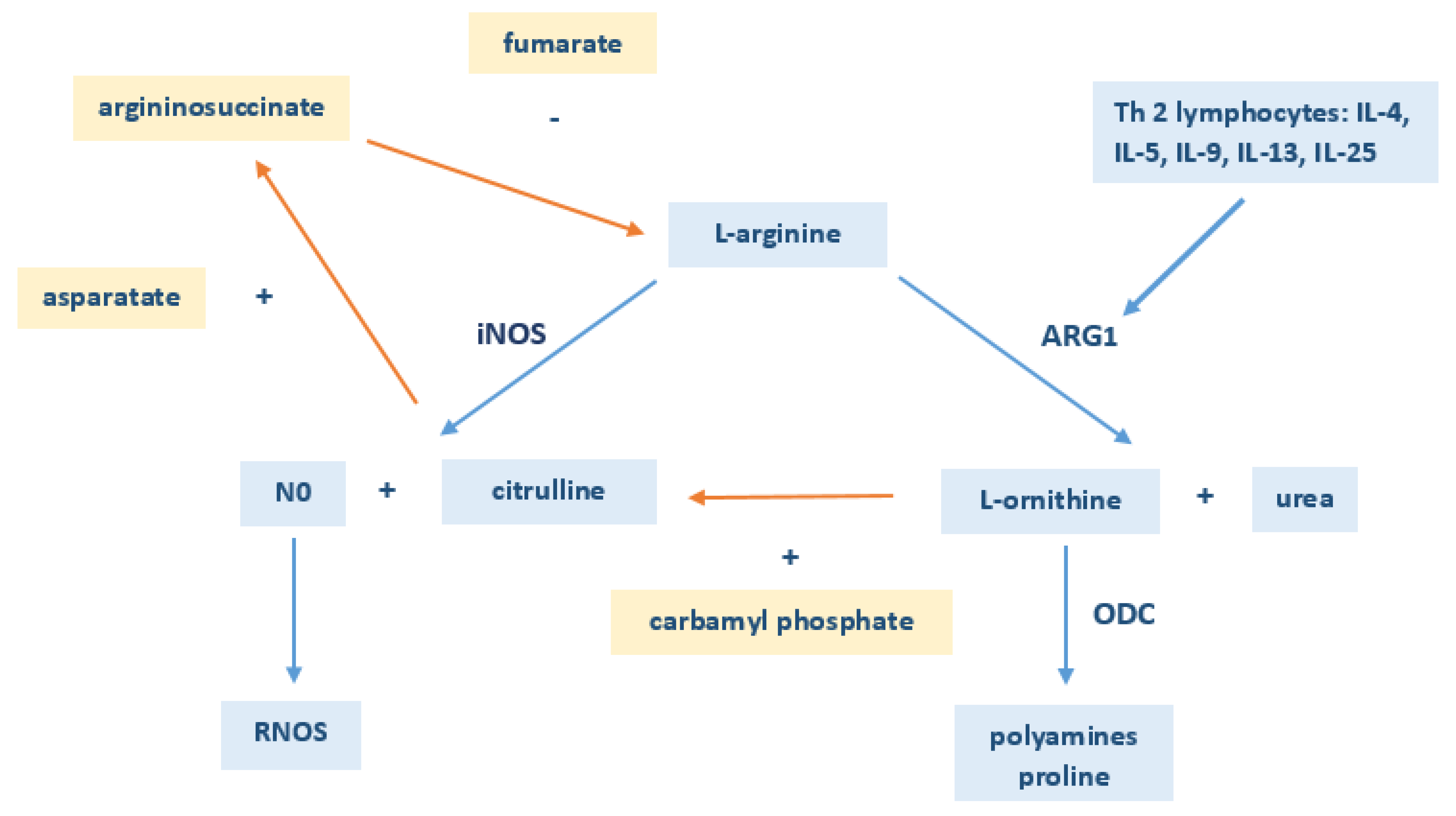 Ijerph 17 04758 g003