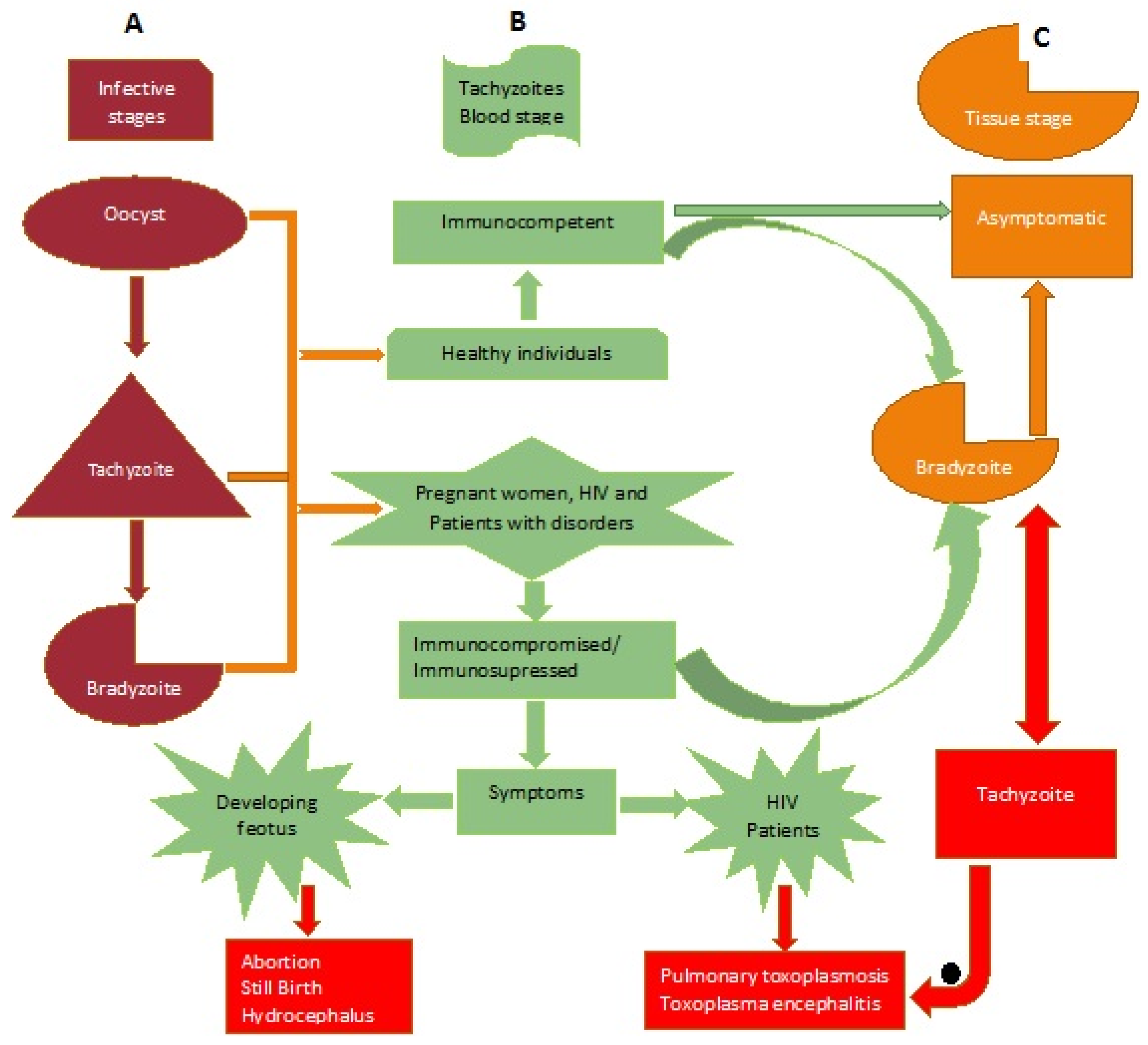 Ijerph 17 04809 g003 Ijerph 17 04809 g003