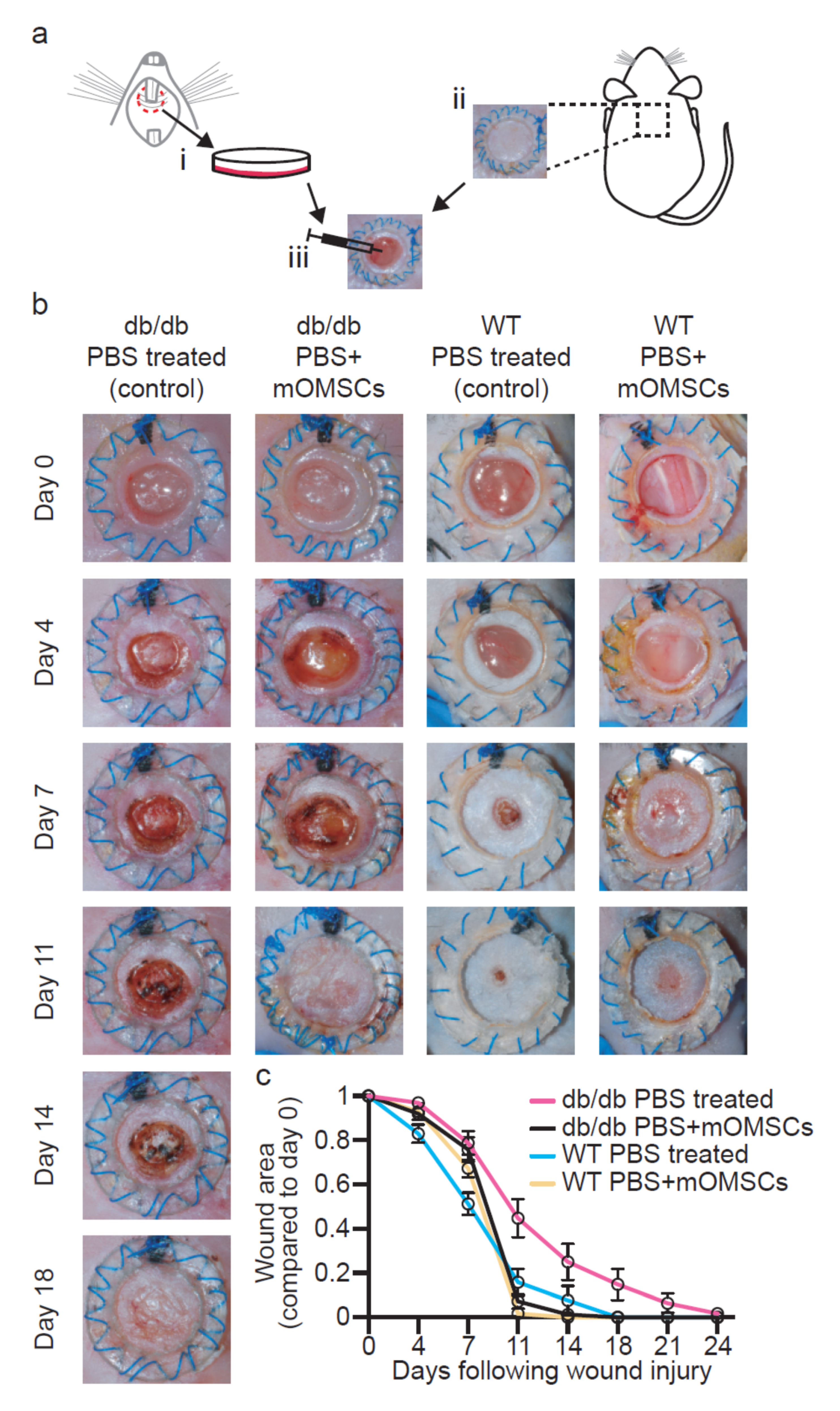Ijerph 17 04854 g001