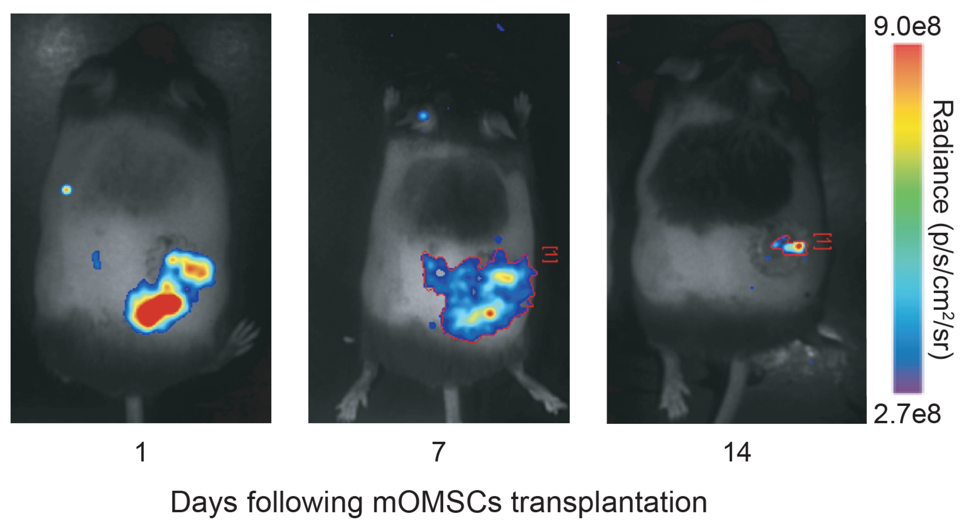 Ijerph 17 04854 g002