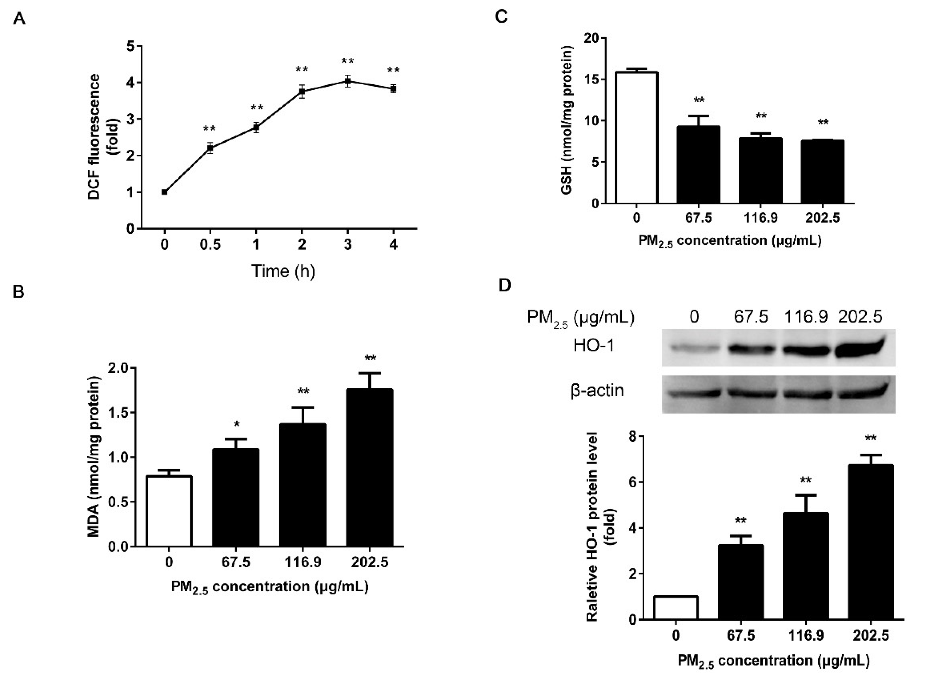 Ijerph 17 04874 g002 Ijerph 17 04874 g002