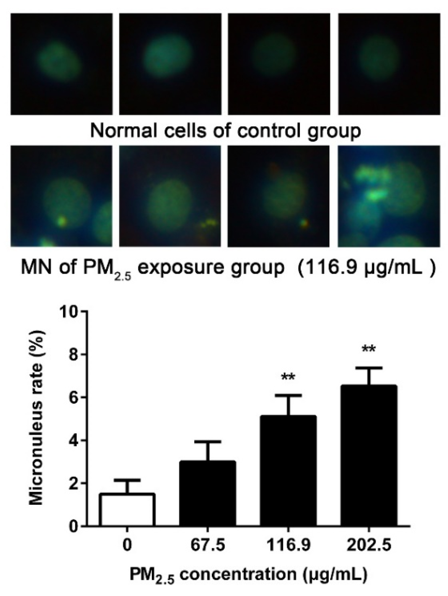 Ijerph 17 04874 g005 Ijerph 17 04874 g005
