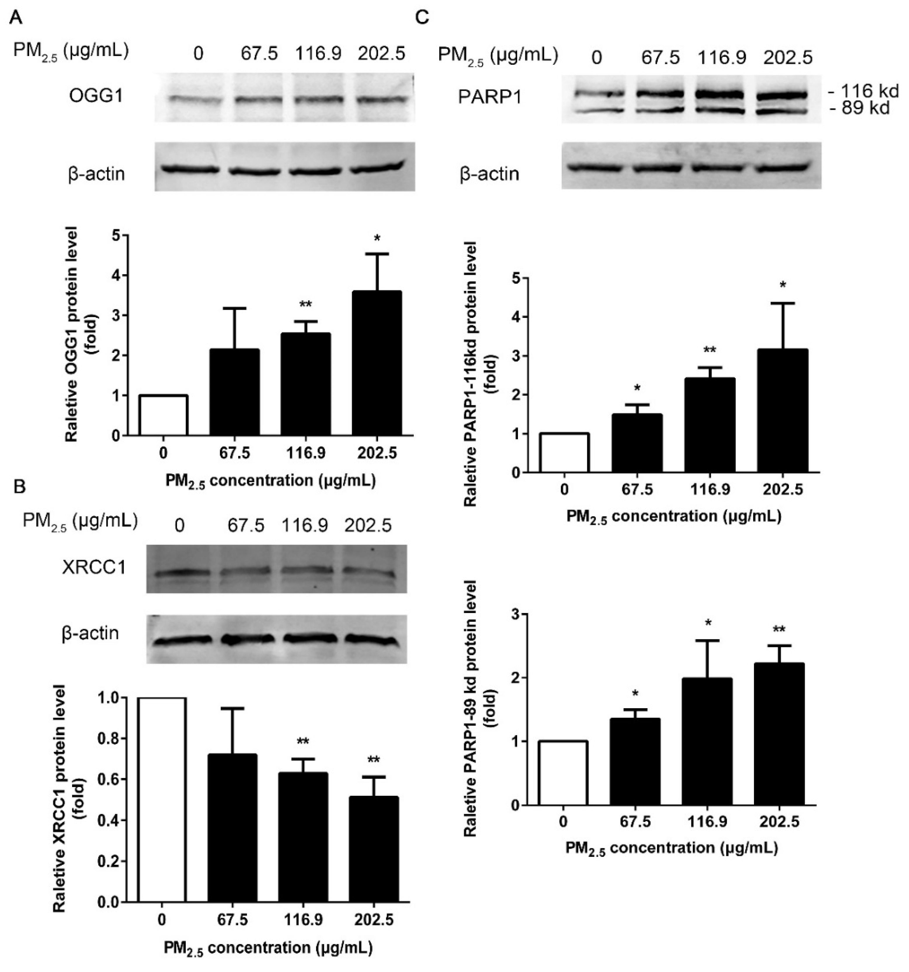 Ijerph 17 04874 g006 Ijerph 17 04874 g006