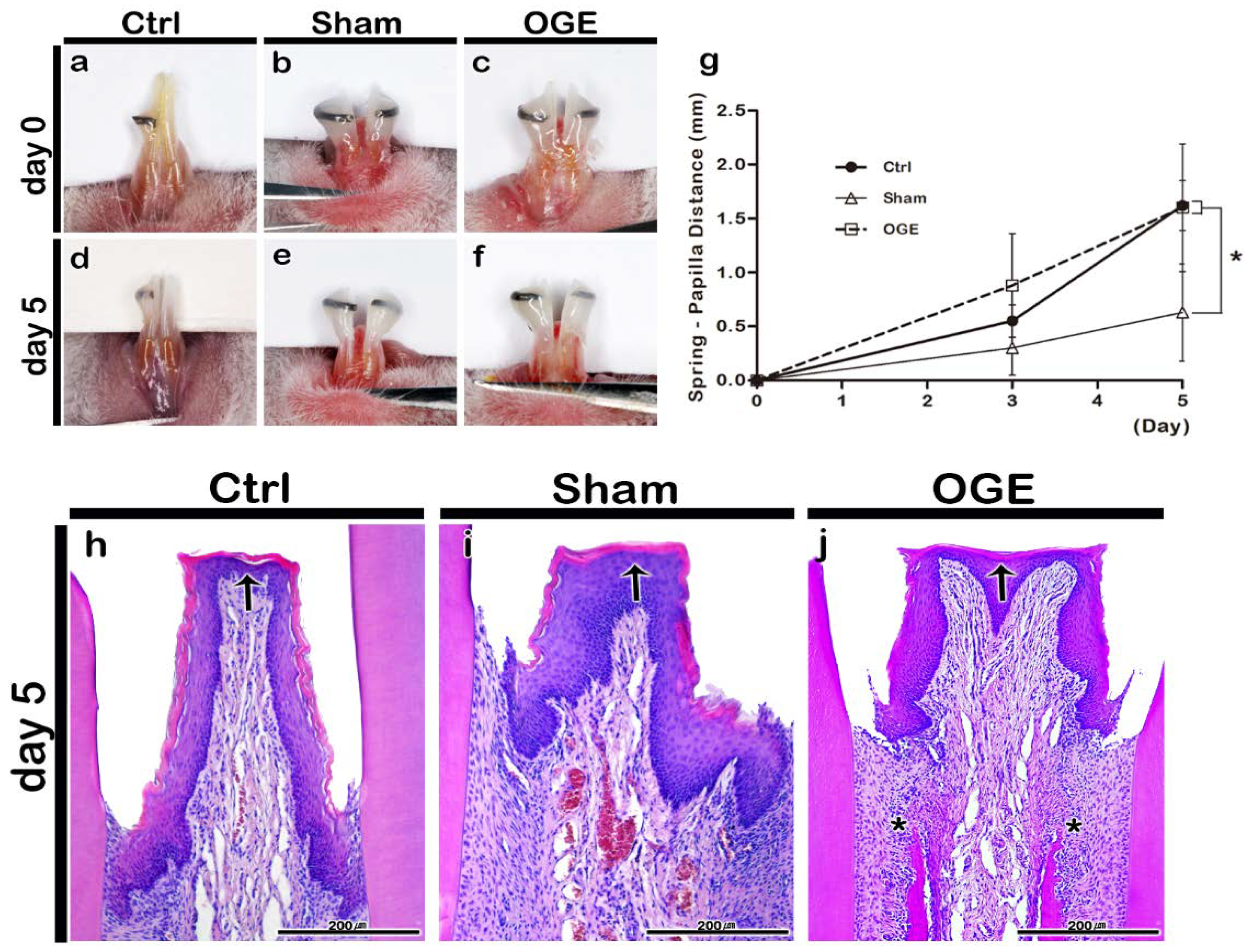 Ijerph 17 04956 g002