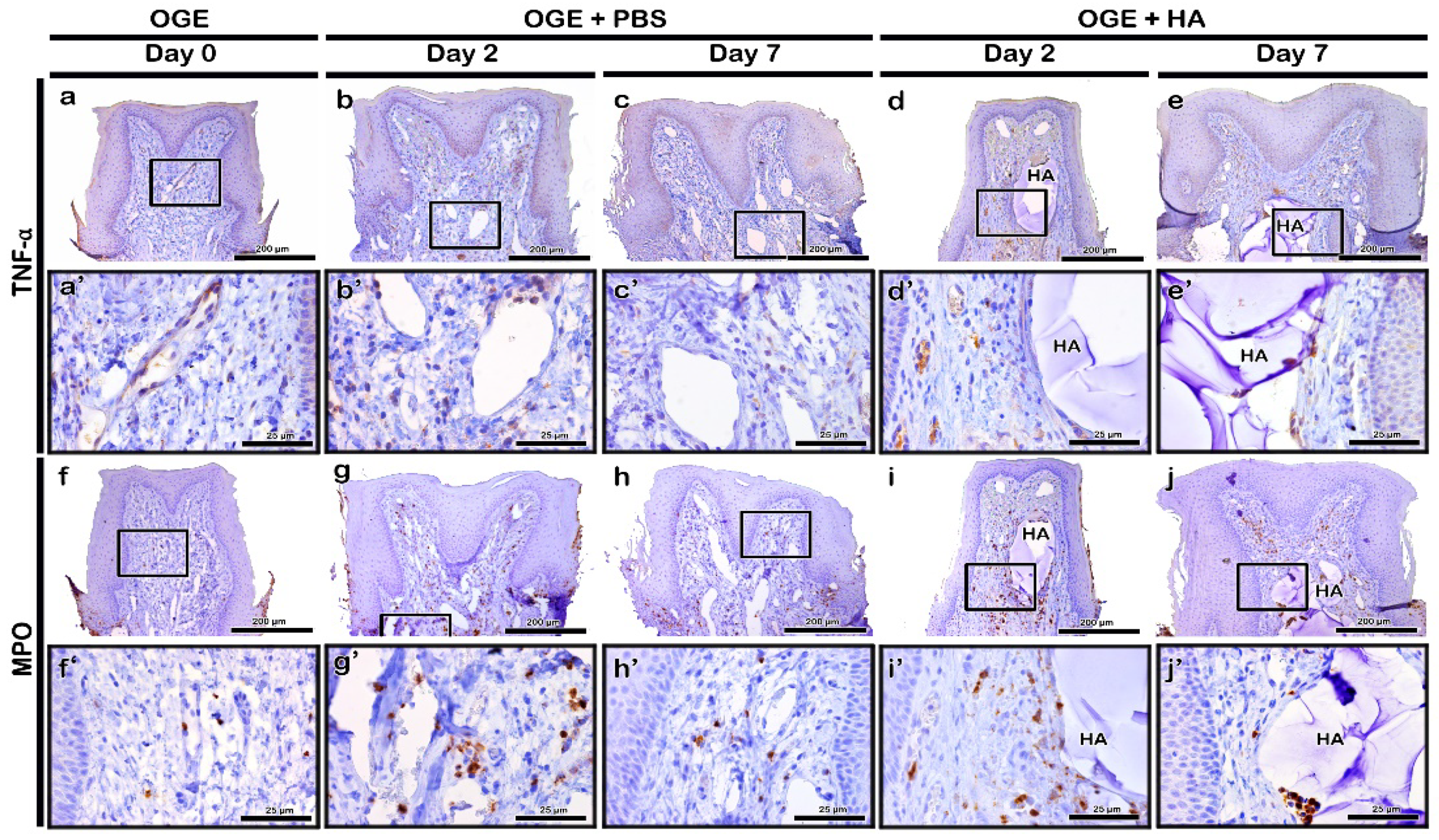 Ijerph 17 04956 g005