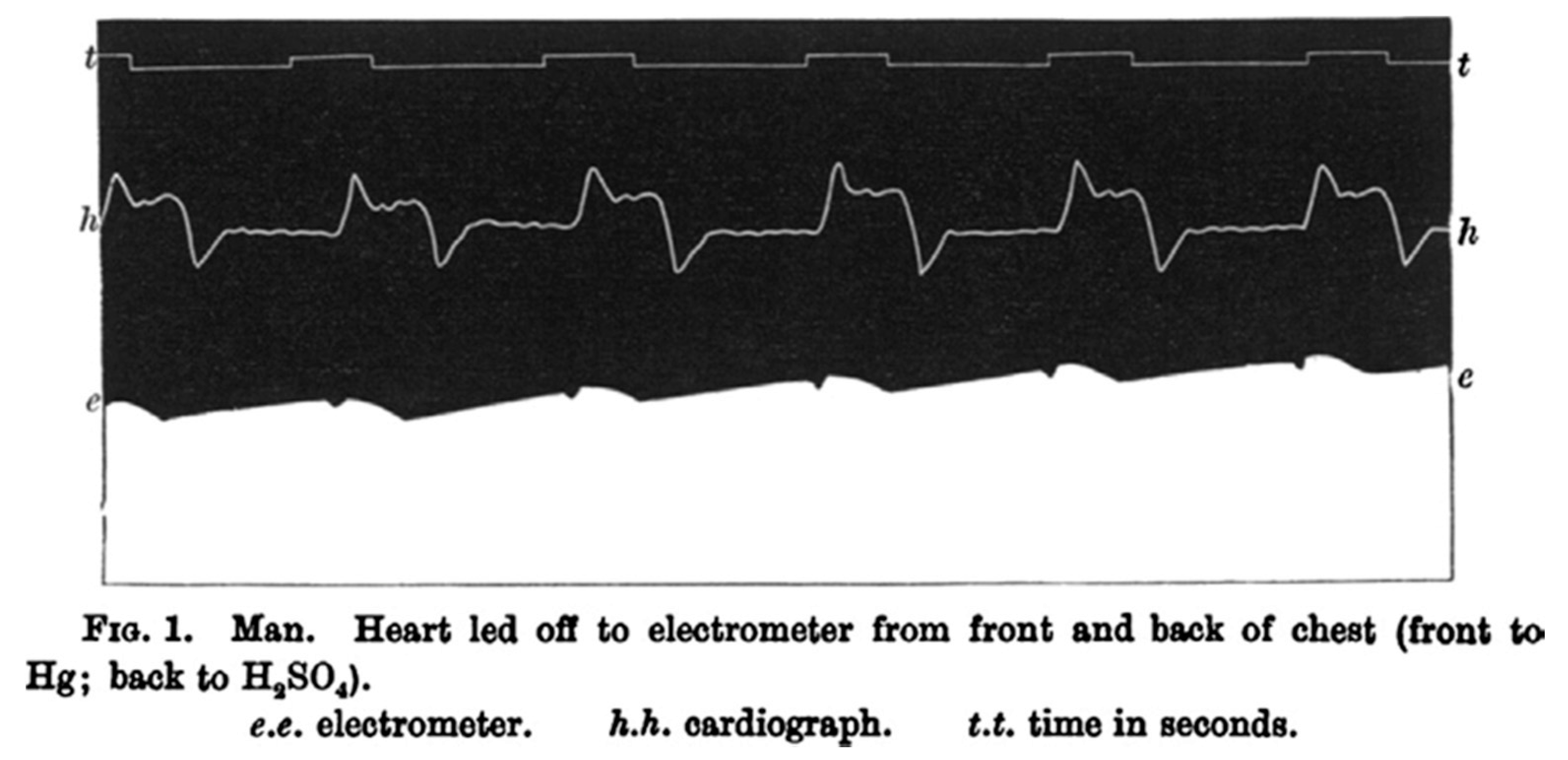 Ijerph 17 04975 g001