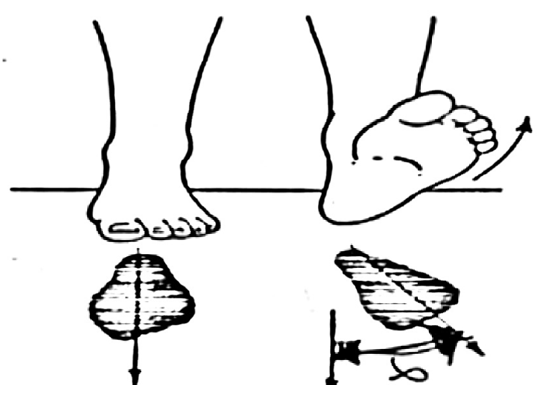 Ijerph 17 04994 g002 Ijerph 17 04994 g002