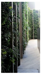 Ijerph 17 05084 i001