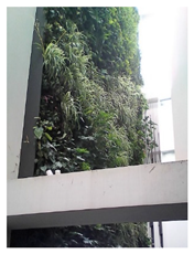 Ijerph 17 05084 i003