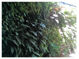 Ijerph 17 05084 i004